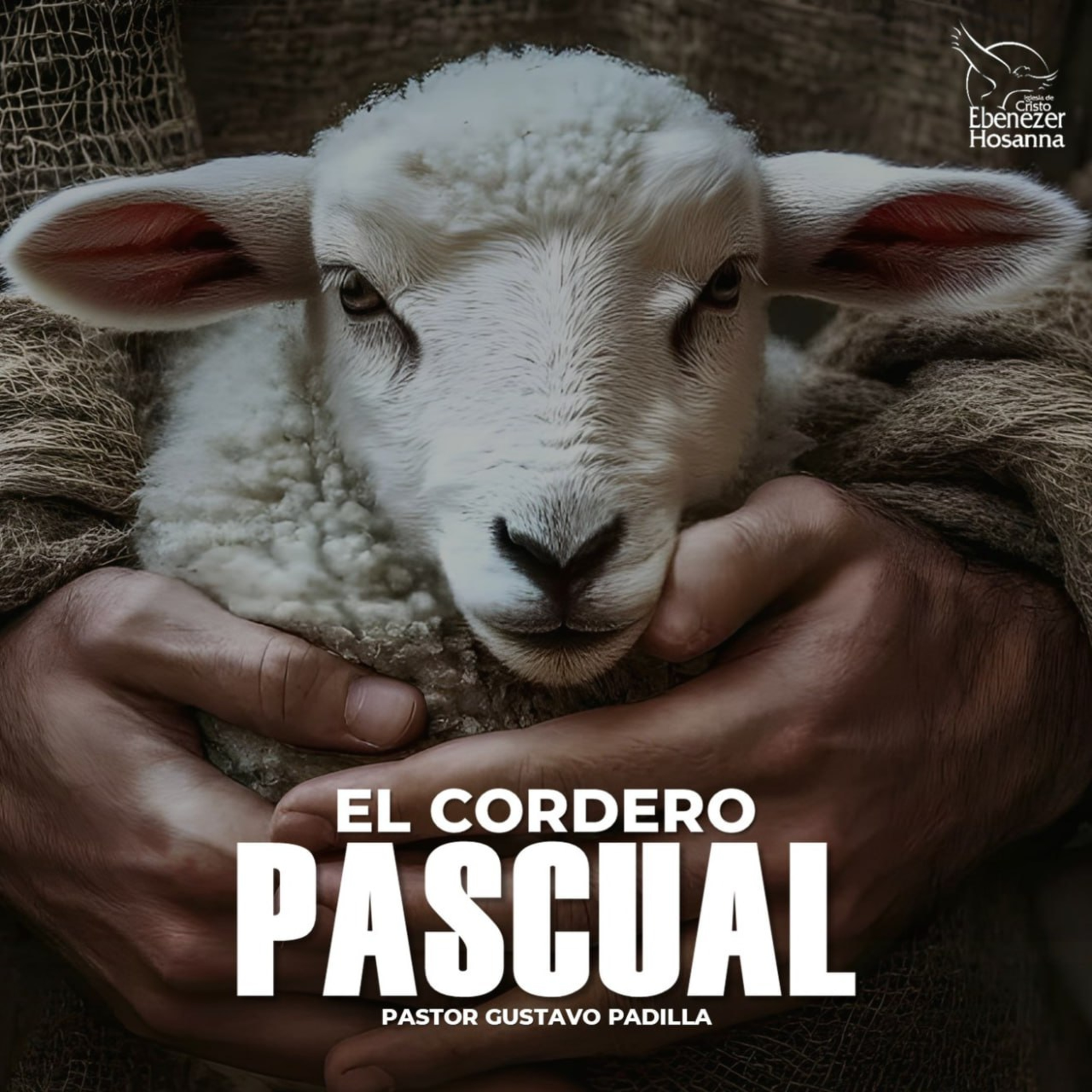 El Cordero Pascual episode artwork