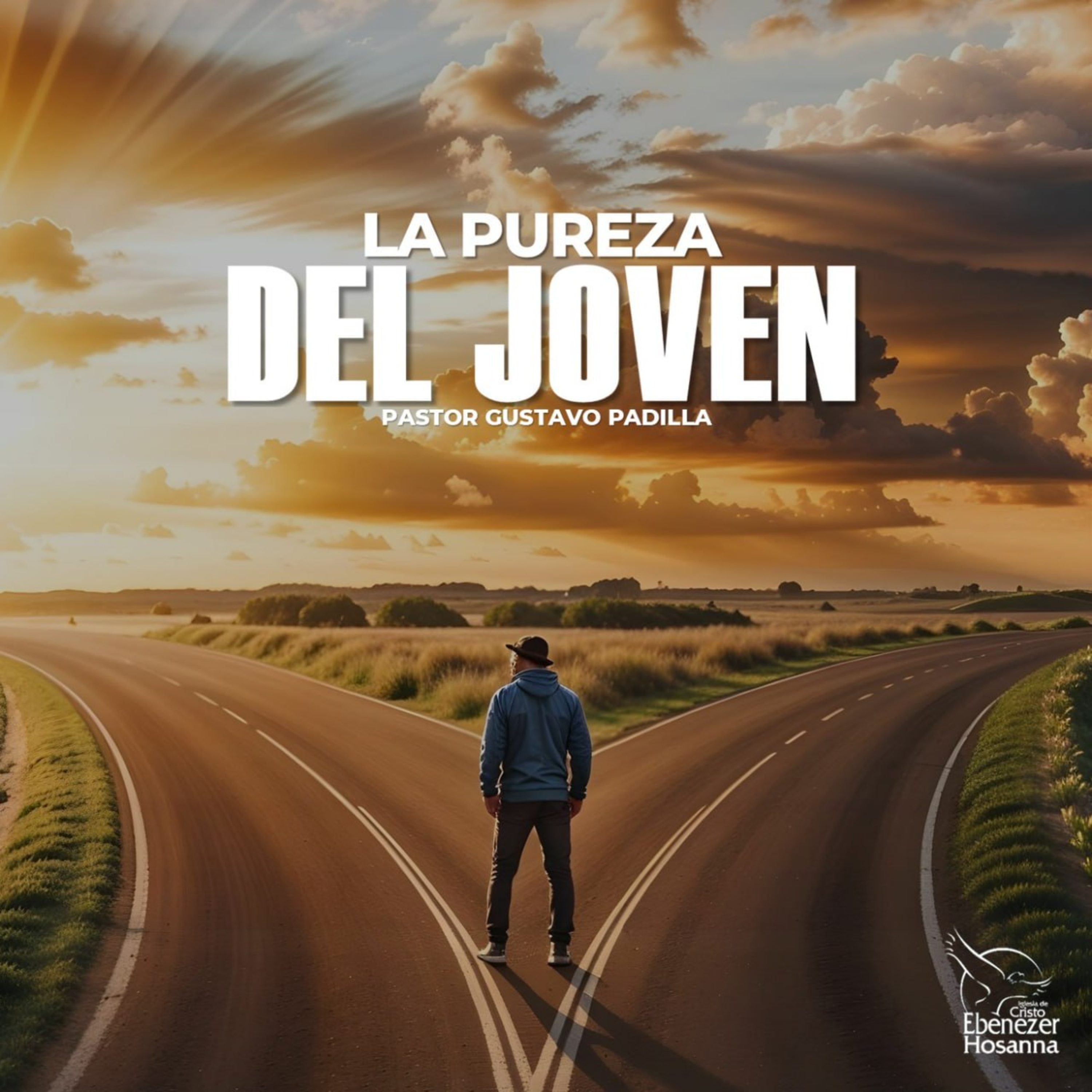 La Pureza del Joven episode artwork