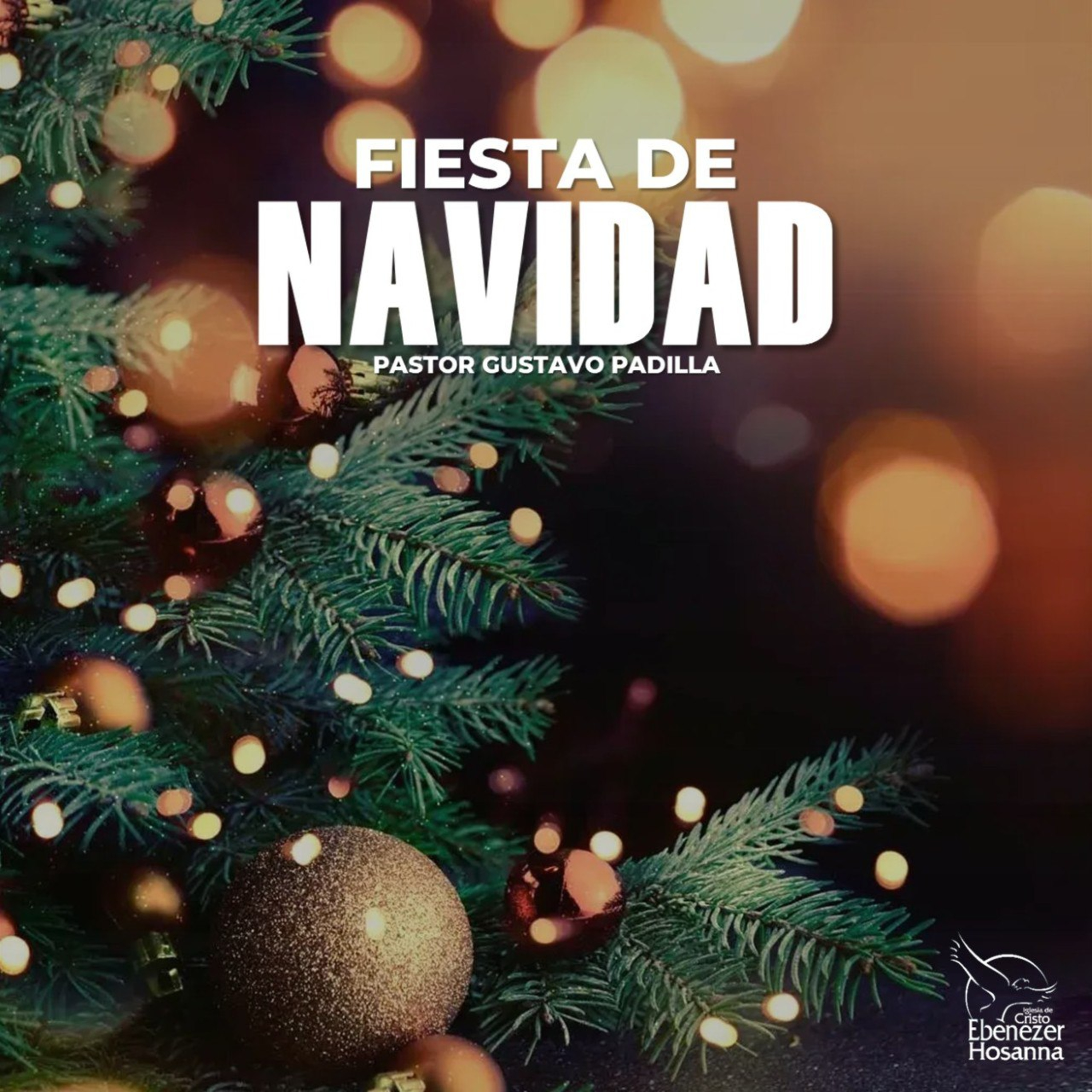 Fiesta de Navidad episode artwork