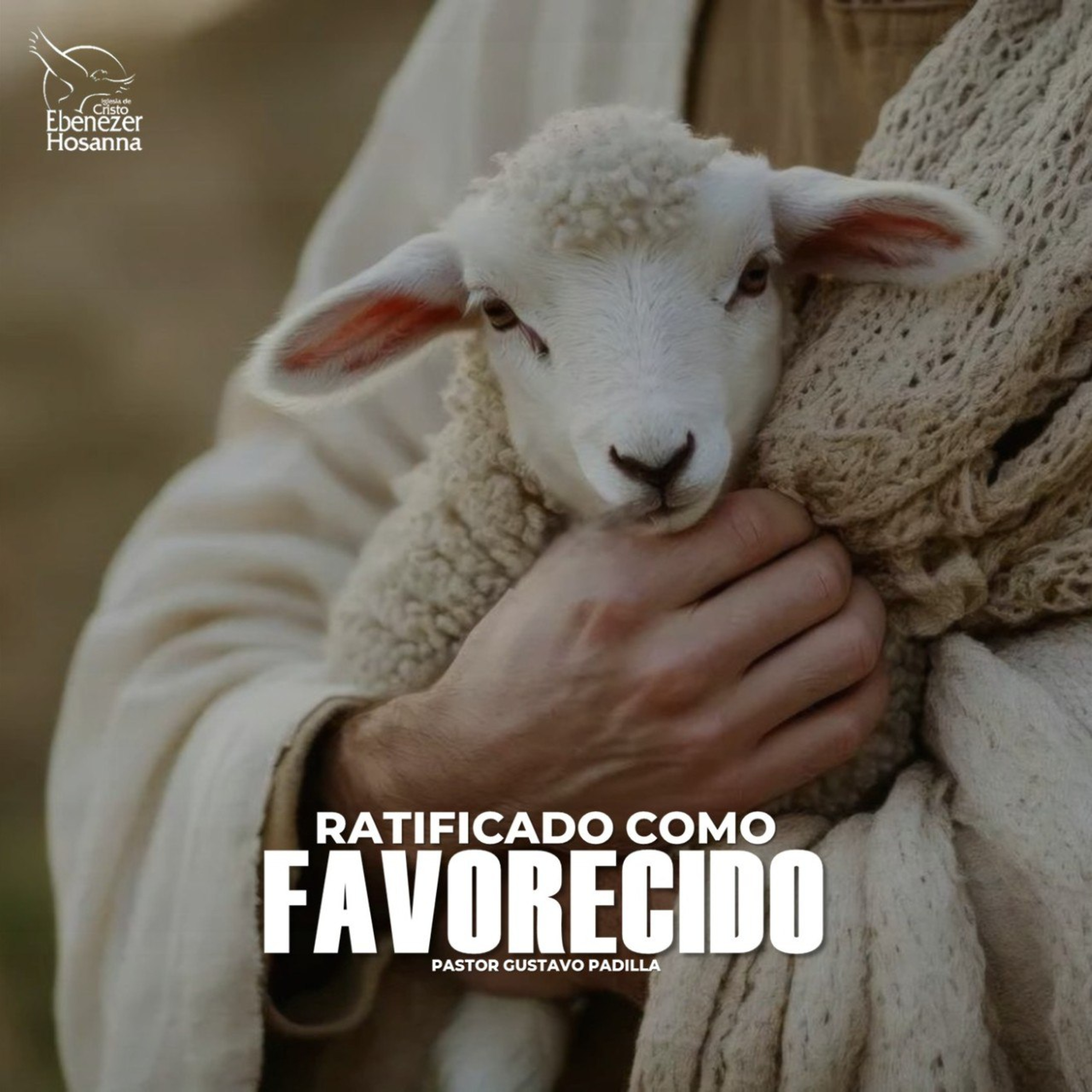 Ratificado como Favorecido episode artwork
