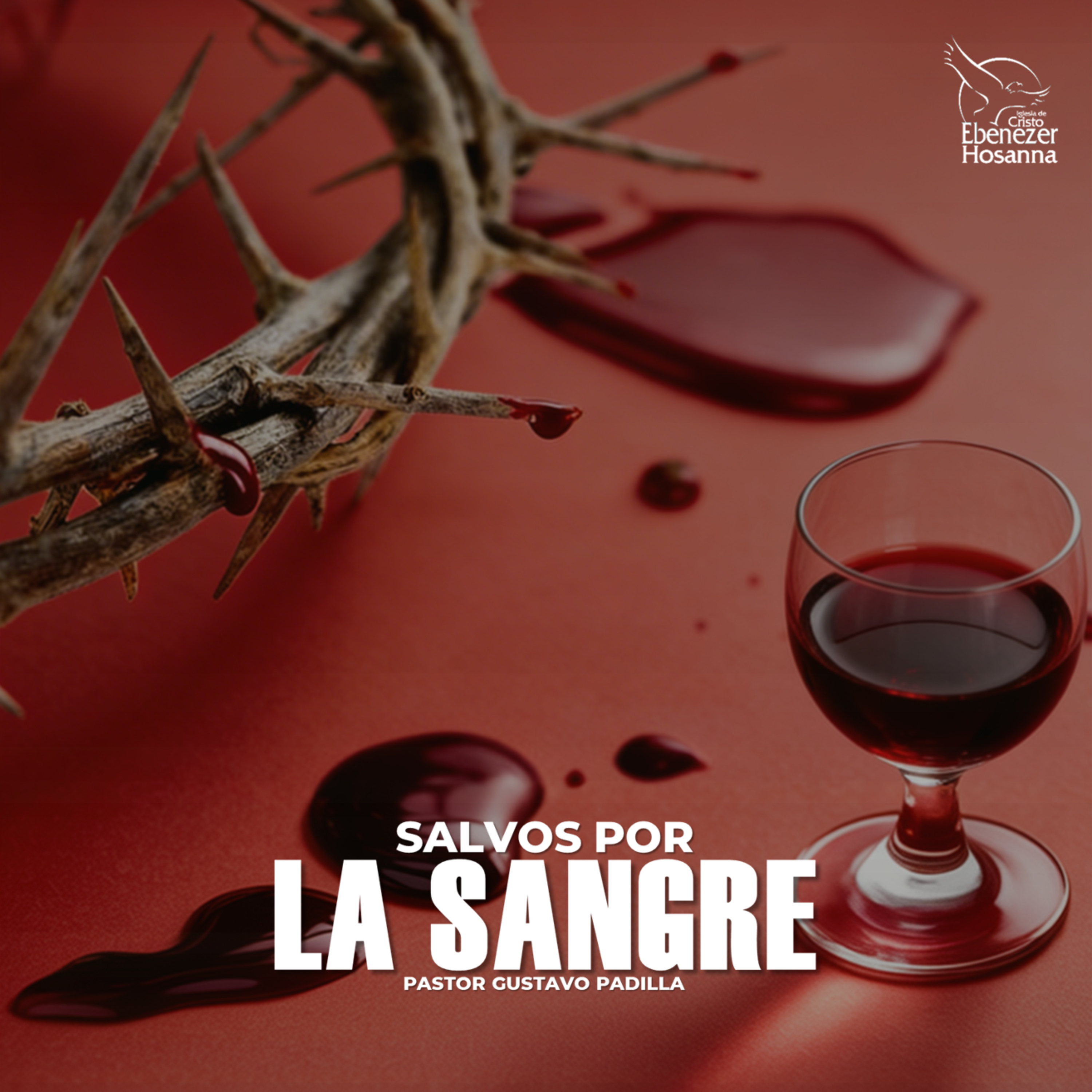 Salvos por la Sangre episode artwork