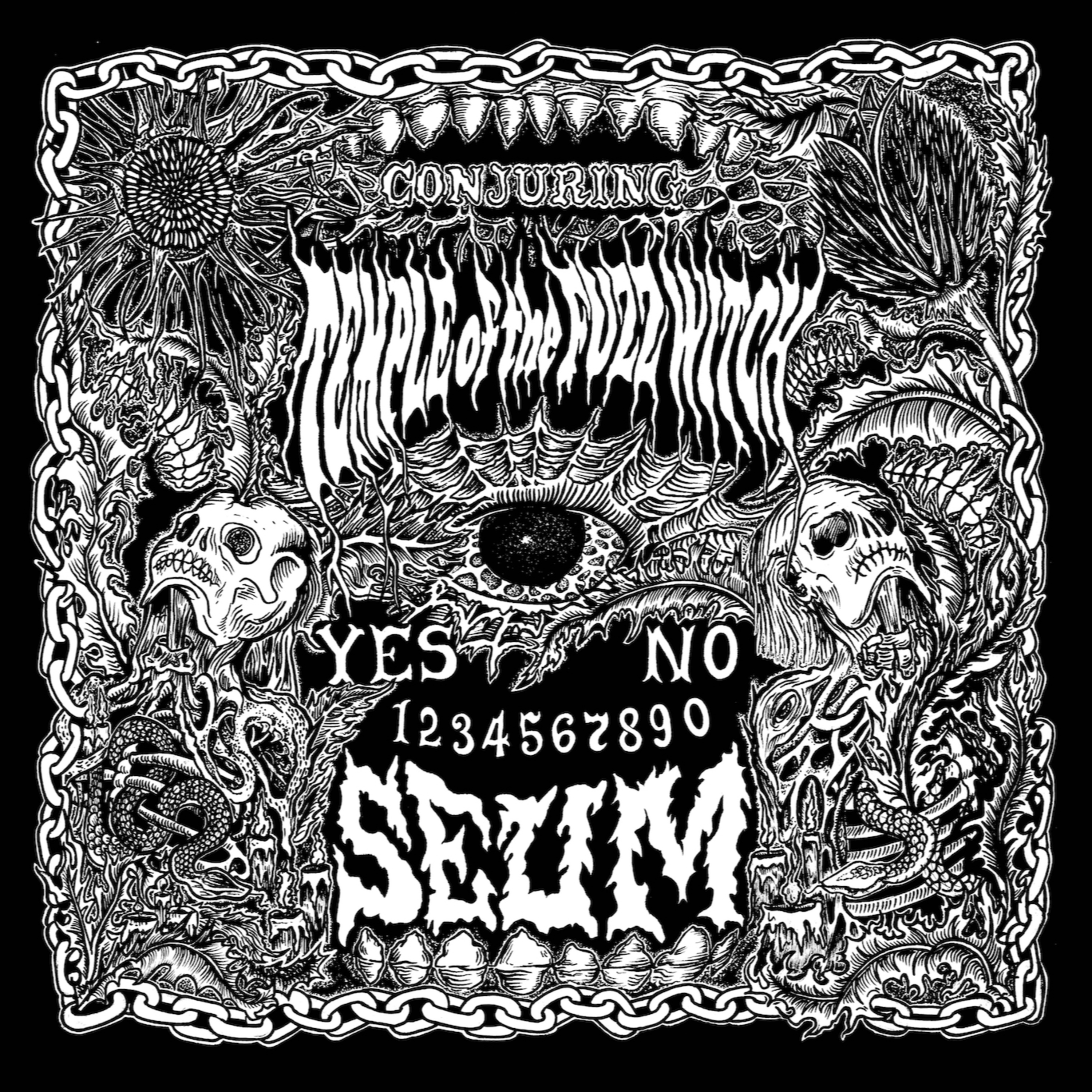 Temple Of The Fuzz Witch - Interview 2025 - The Zach Moonshine Show episode artwork