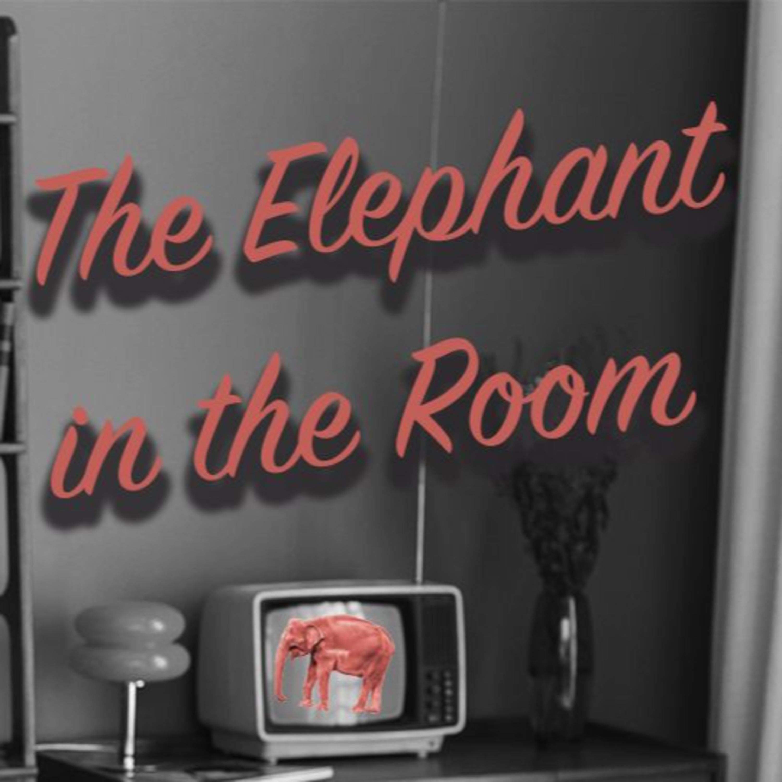 Elephant in the Room, Week 2 - Dr. Jason Baugh episode artwork