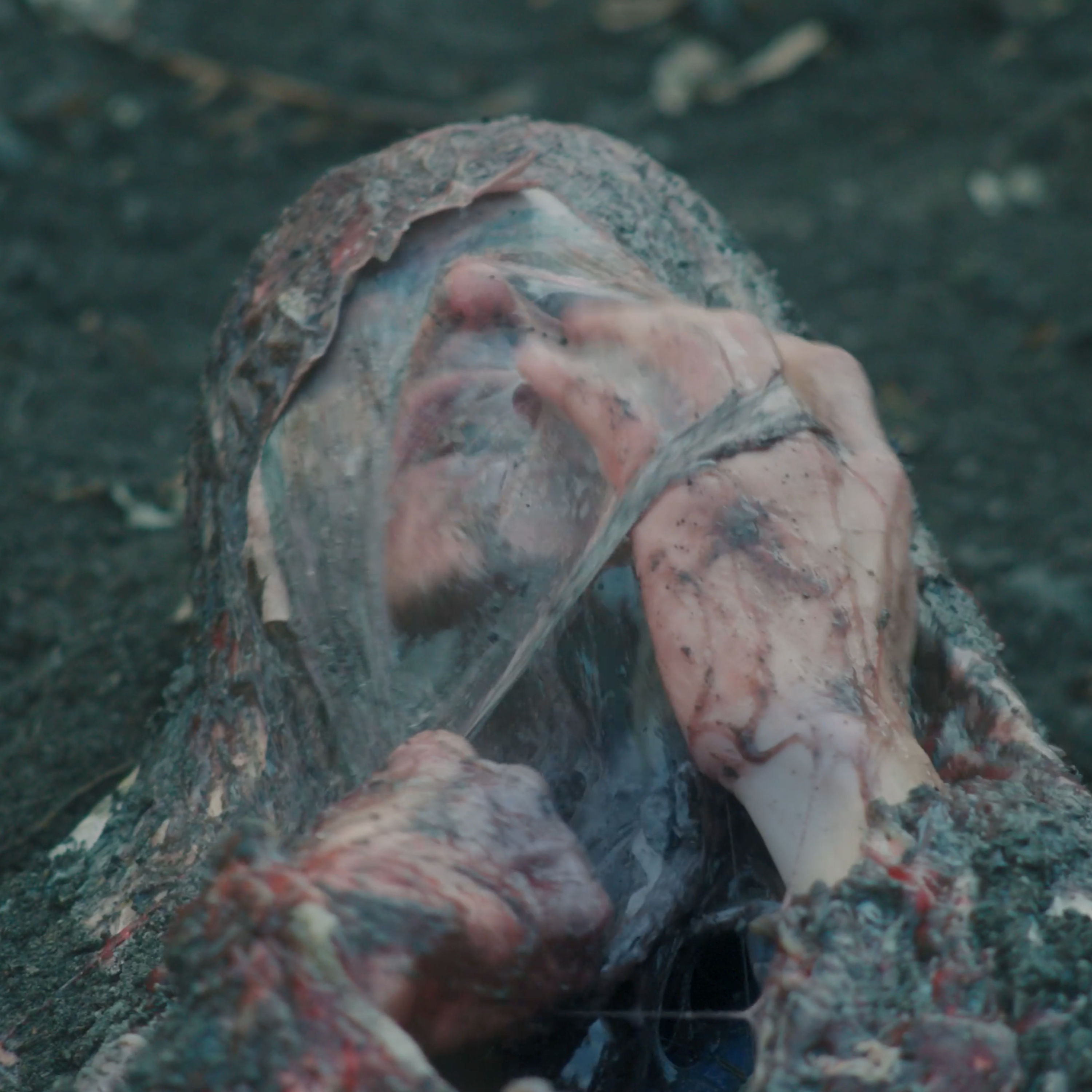 Without Your Head