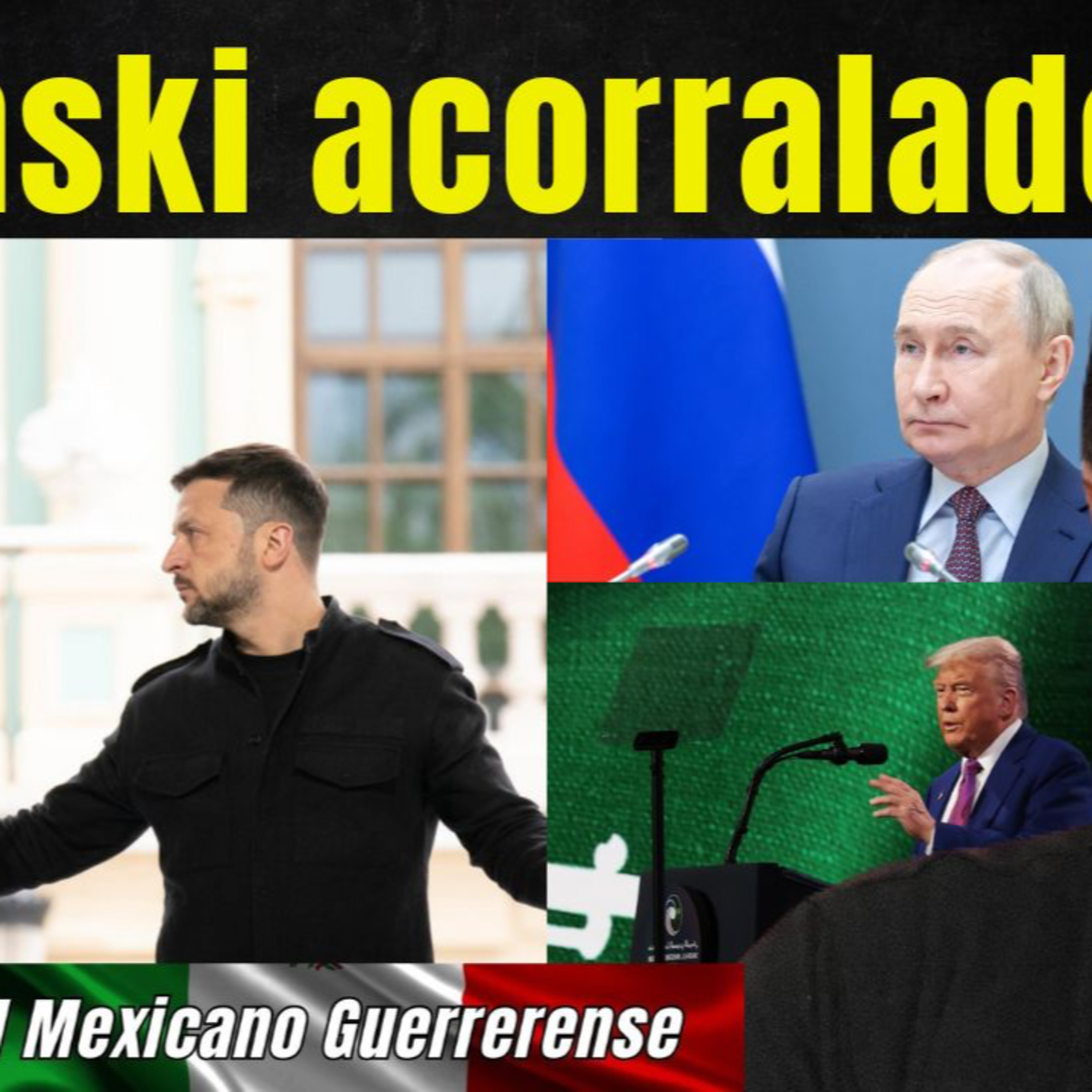 Posible reunión de persona a persona entre Putin y Zelenski tiene la atención mundial episode artwork