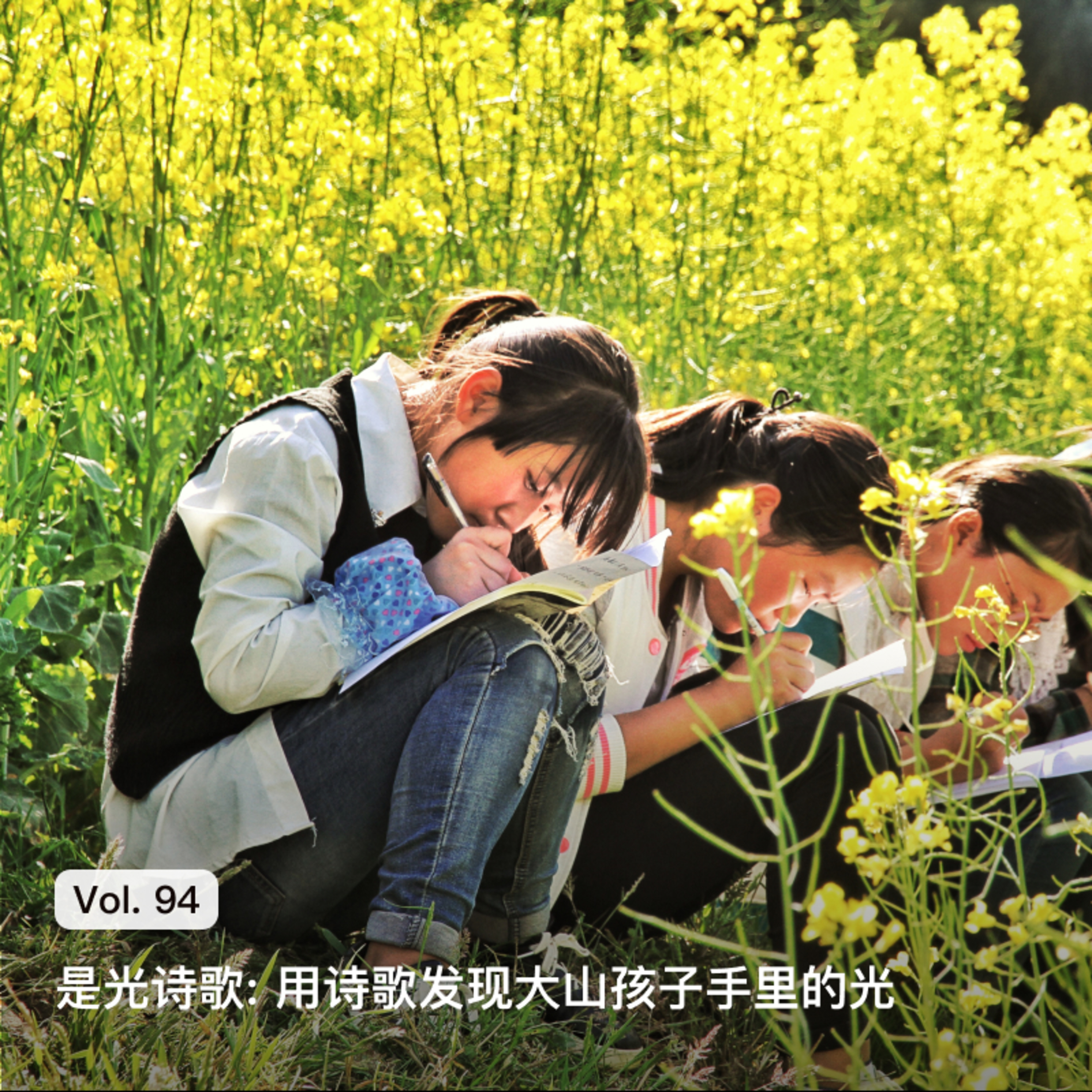 枫言枫语