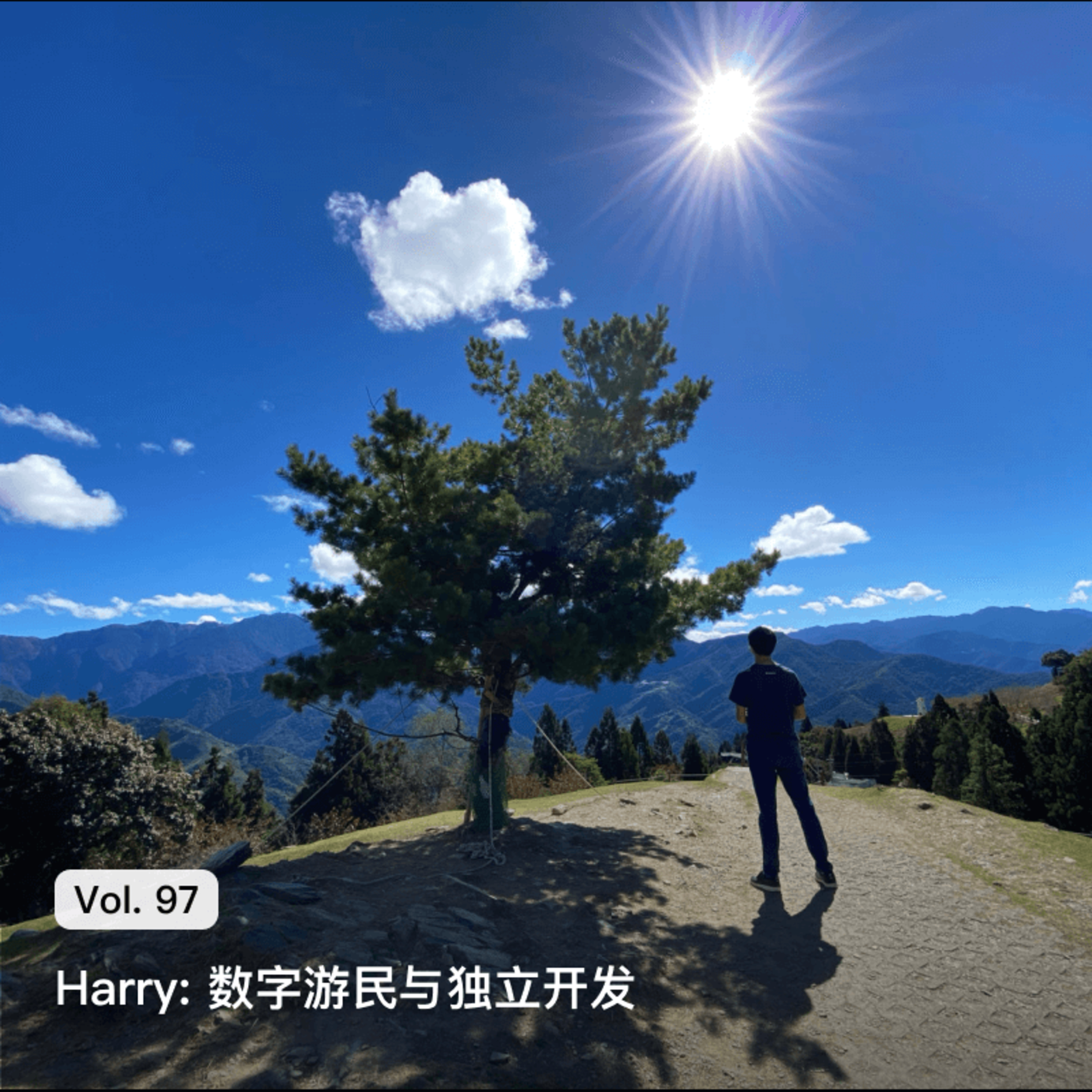 枫言枫语