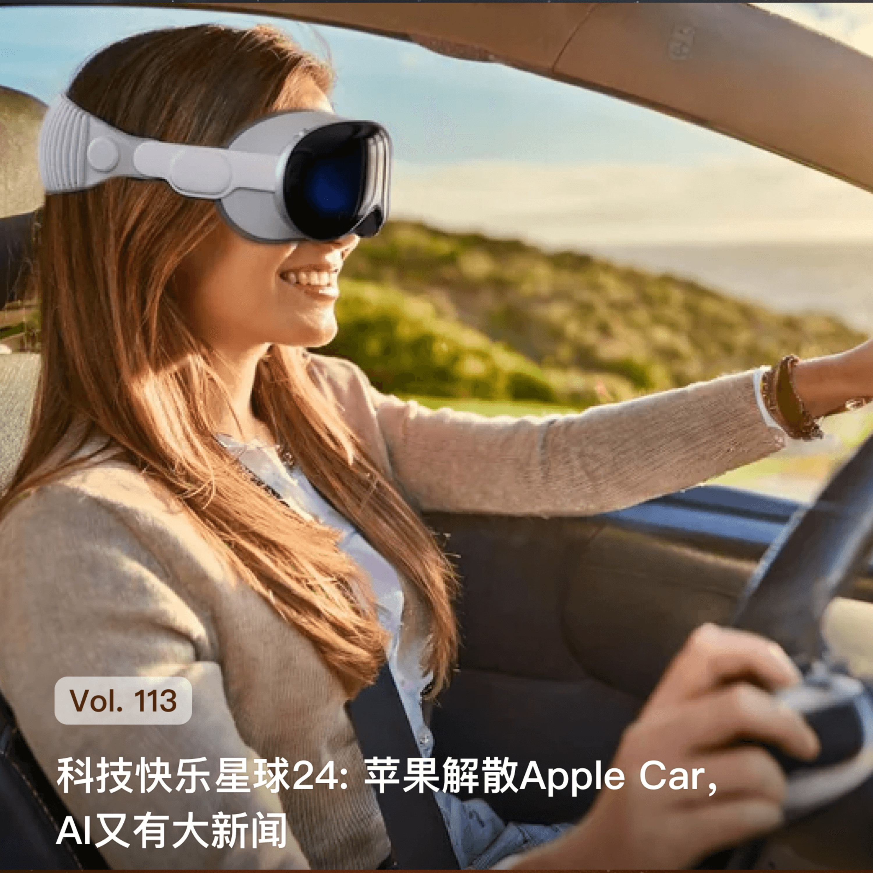 枫言枫语