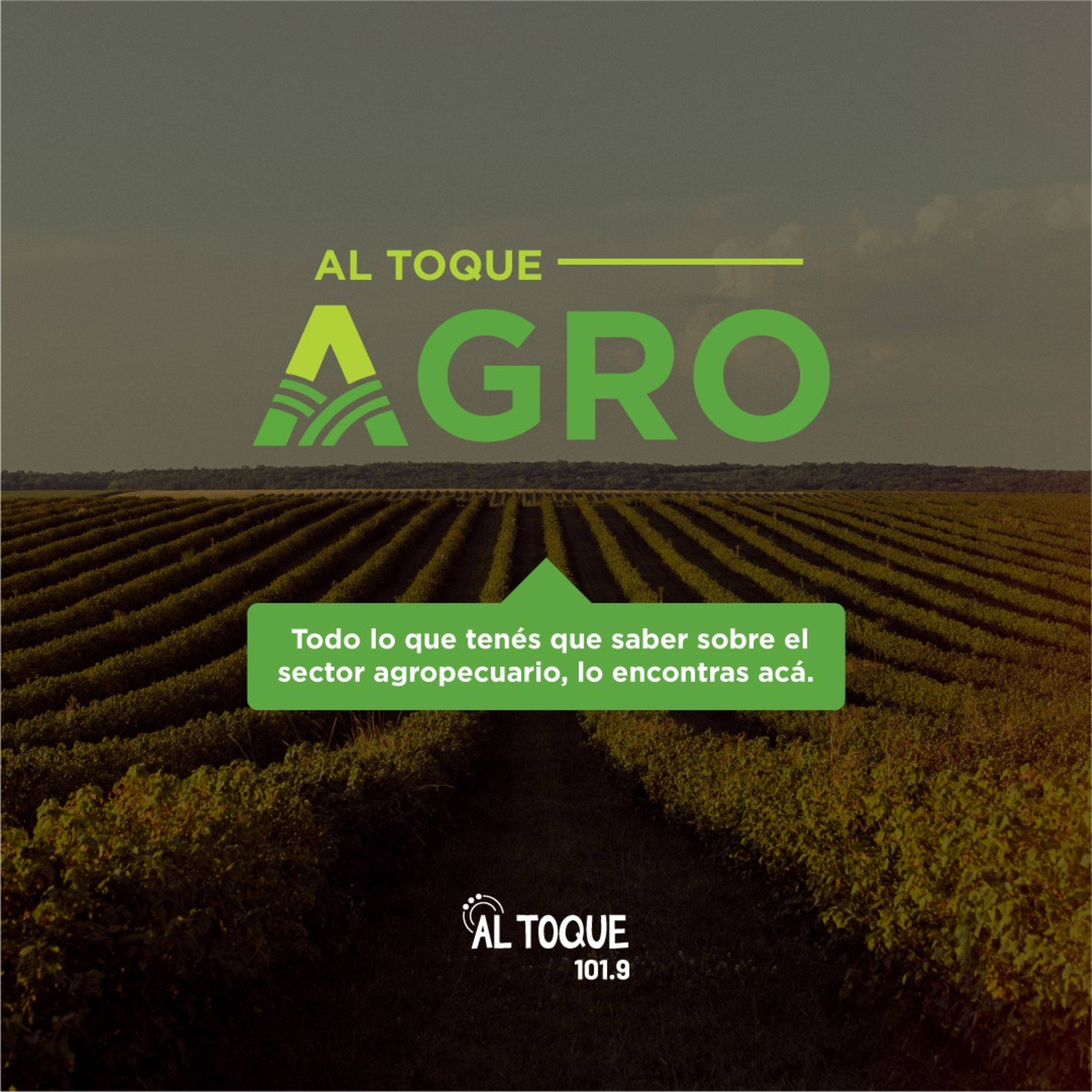 Al Toque Agro- Panorama 7-6 episode artwork