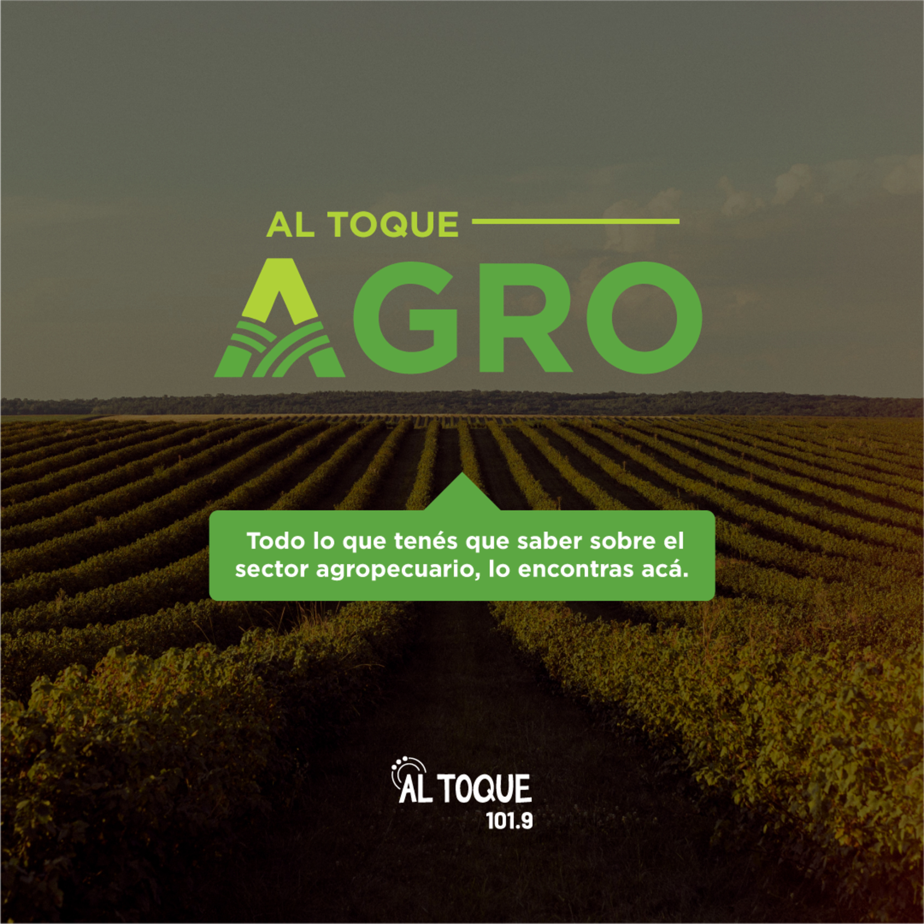 Al Toque Agro - Panorama 16-8 episode artwork