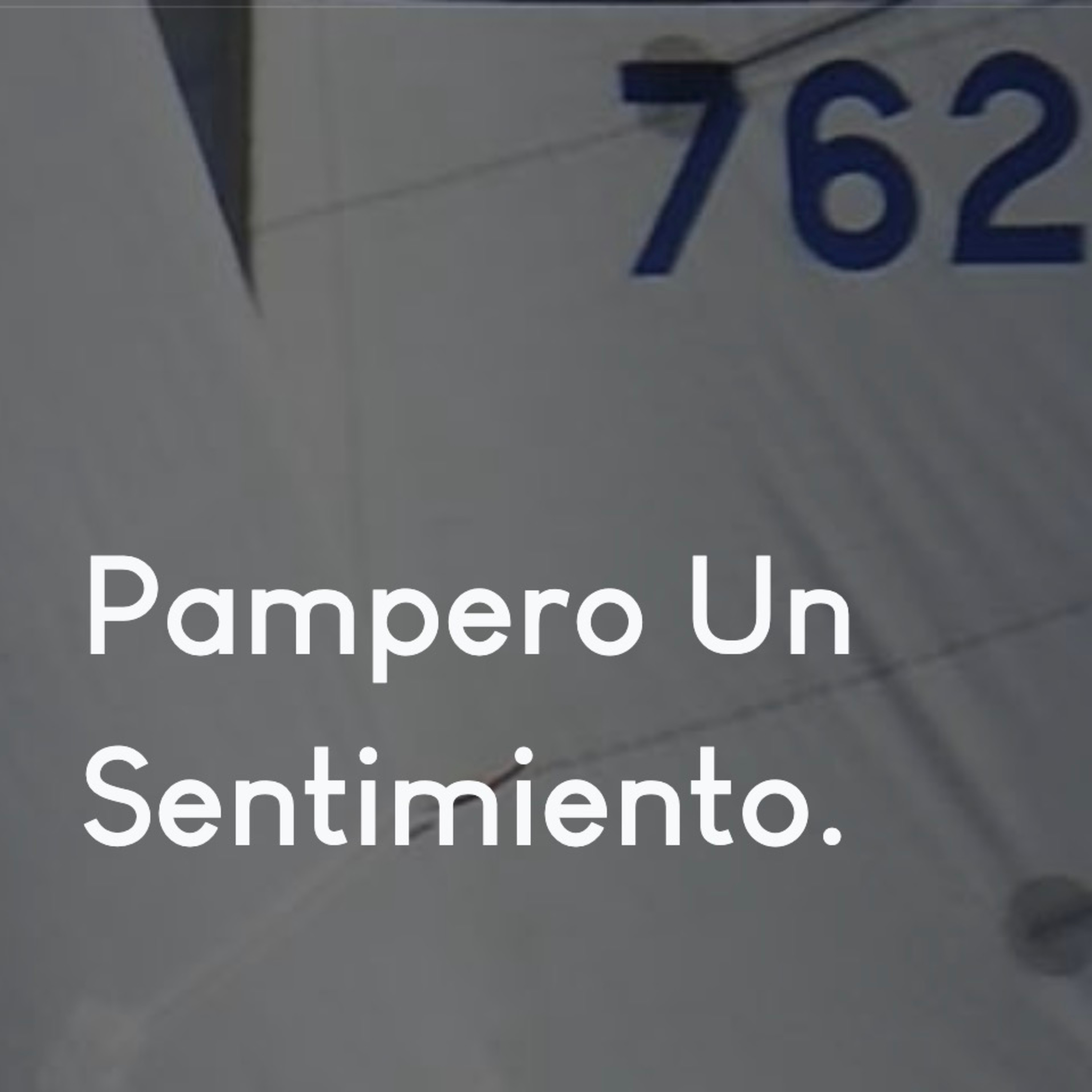 Radionautas