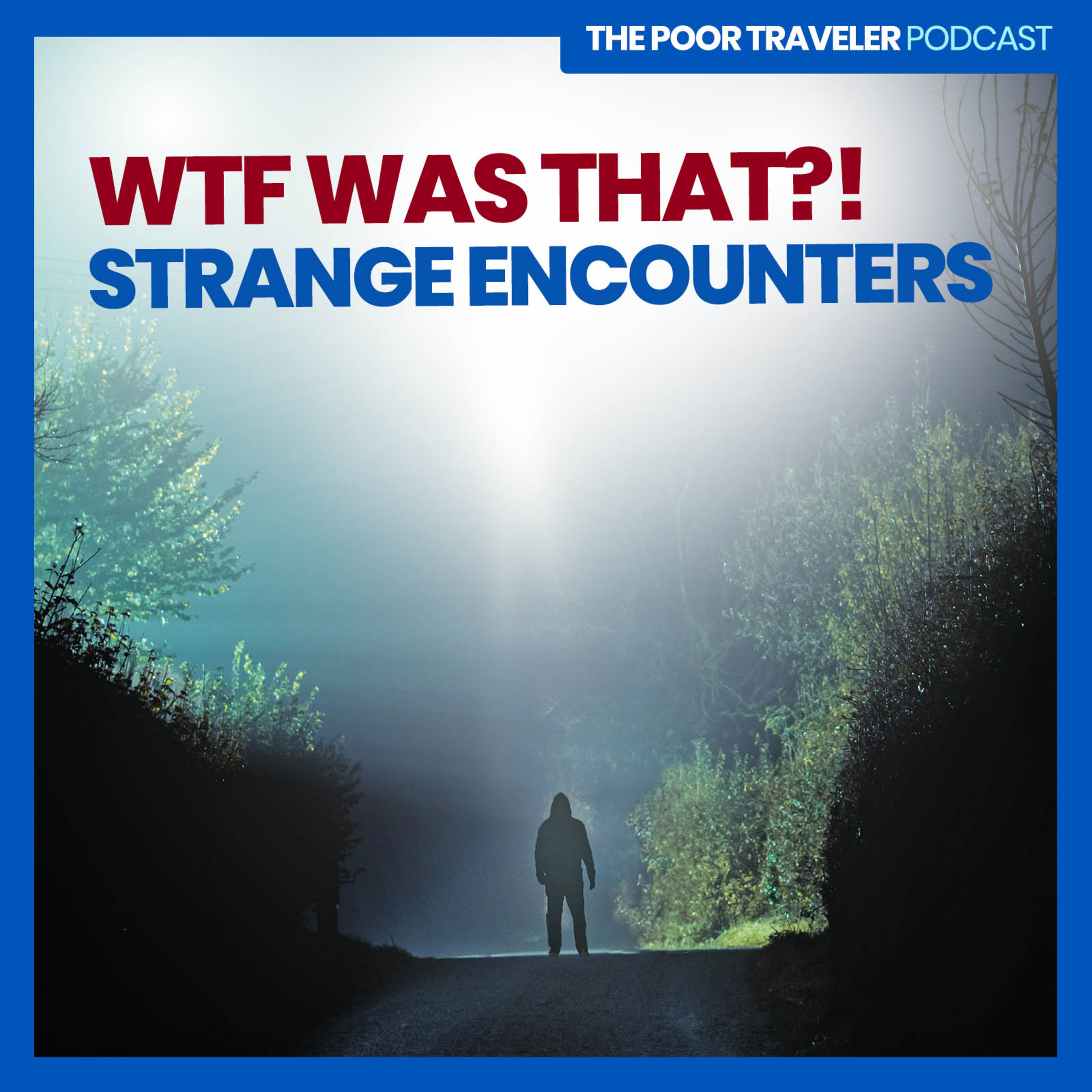 THE POOR TRAVELER