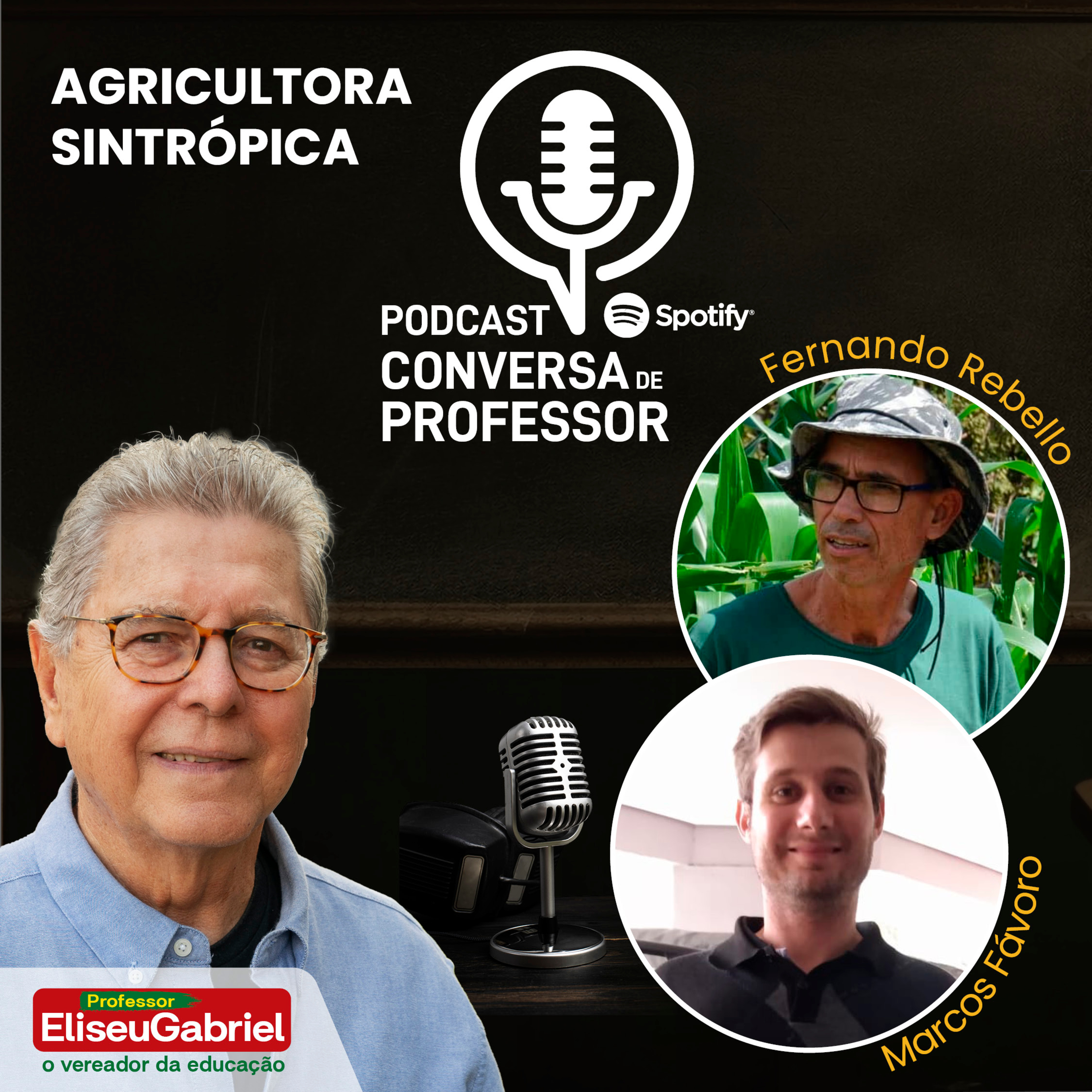 Conversa de Professor