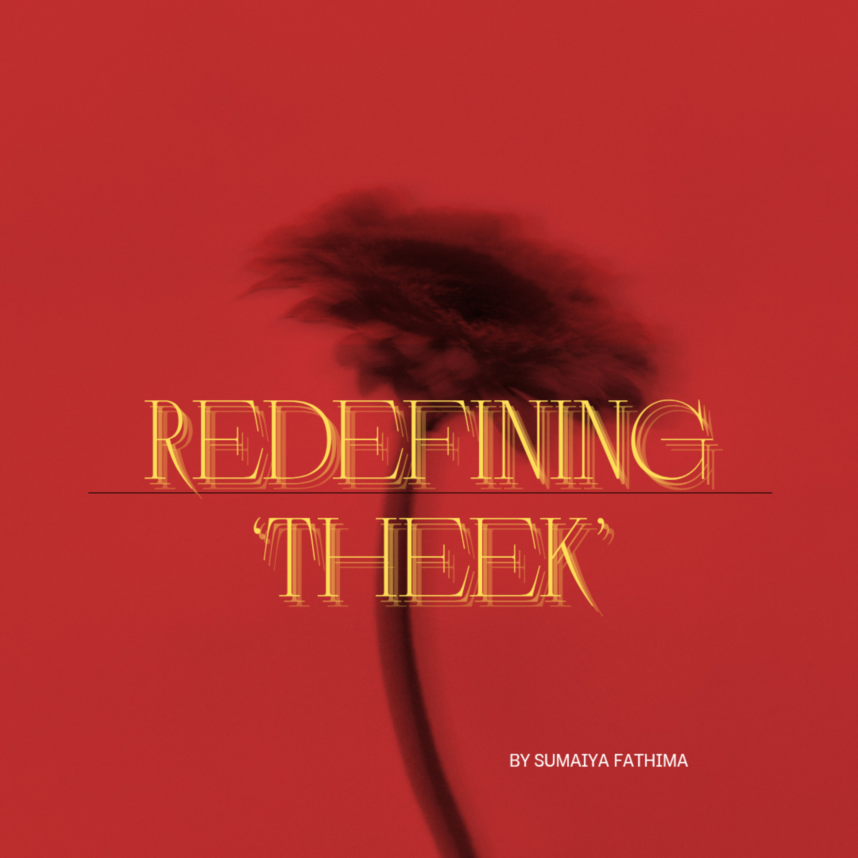 Redefining ‘Theek’ episode artwork