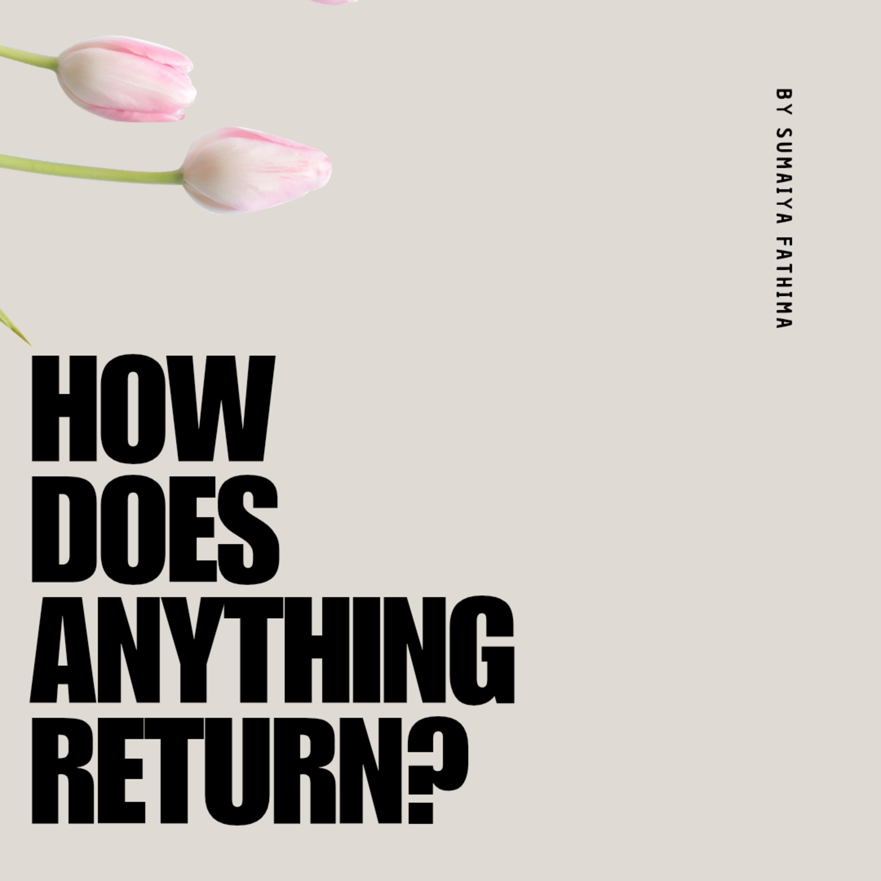 How Does Anything Return? episode artwork