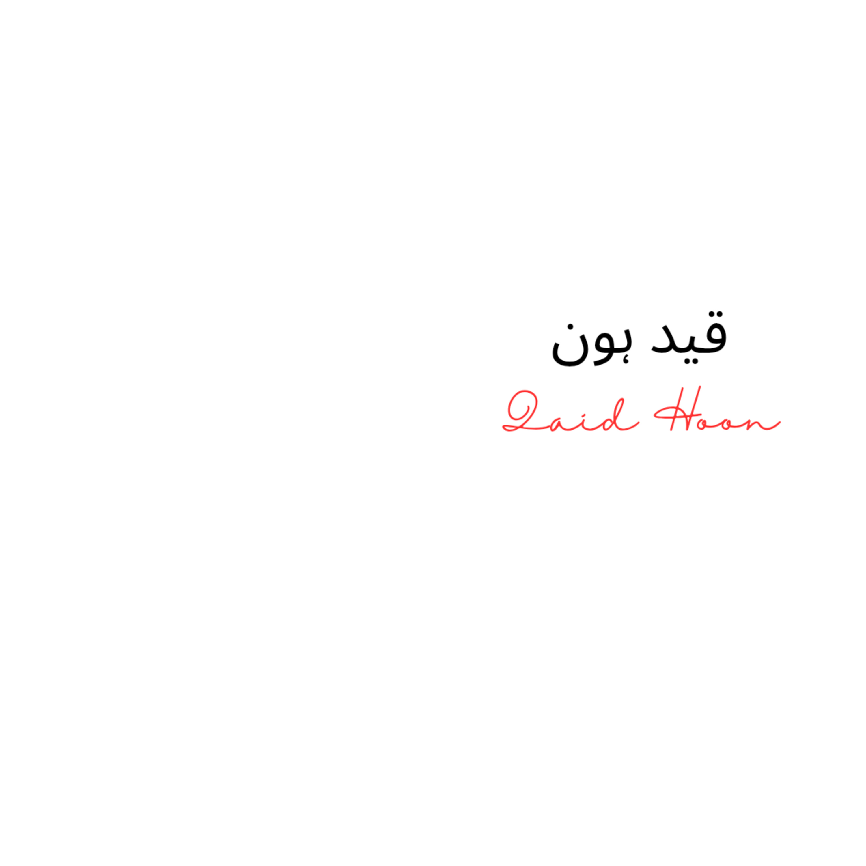 Qaid Hoon  episode artwork