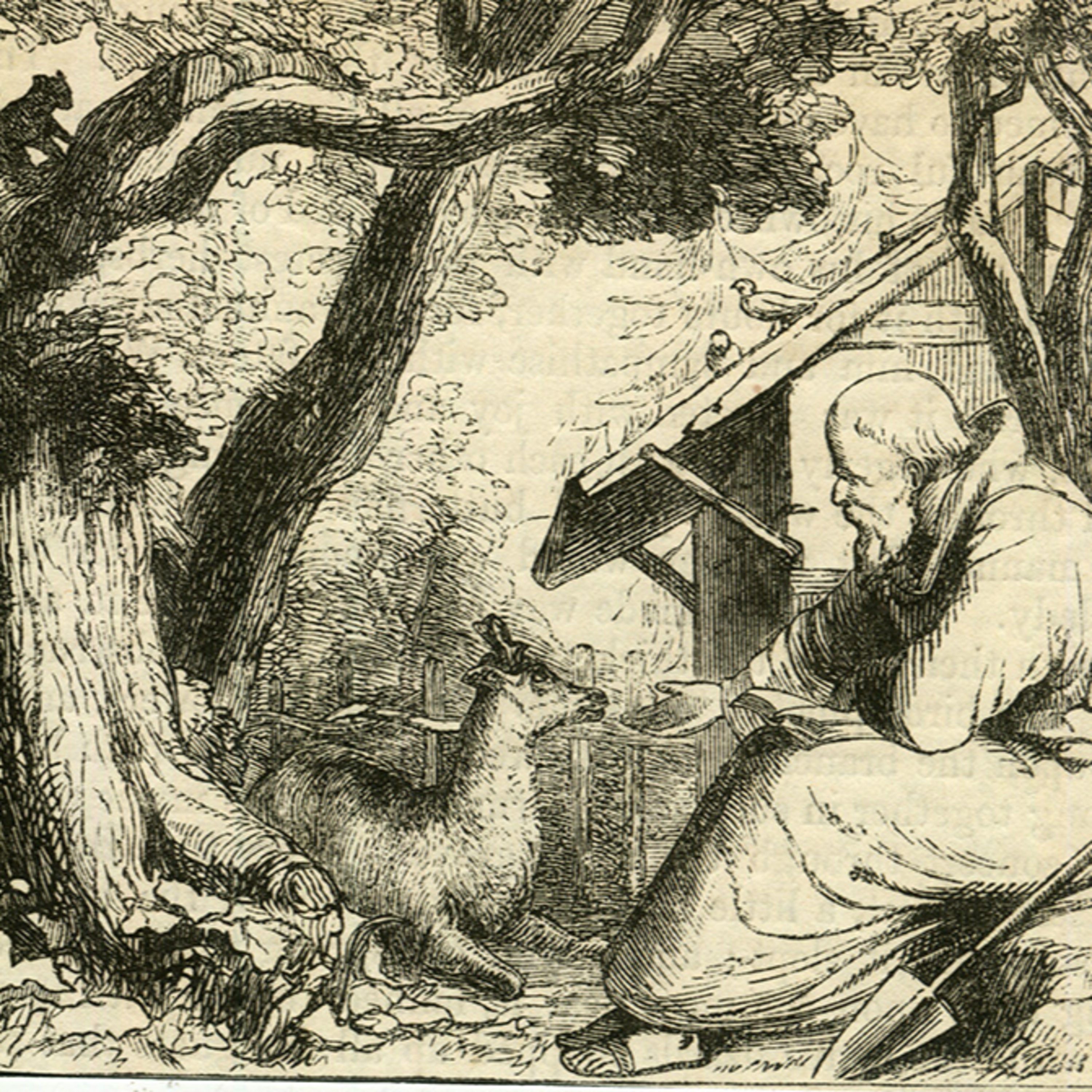 The Tablet in conjunction with Sarum College – What does Francis of Assisi have to say to theology today?