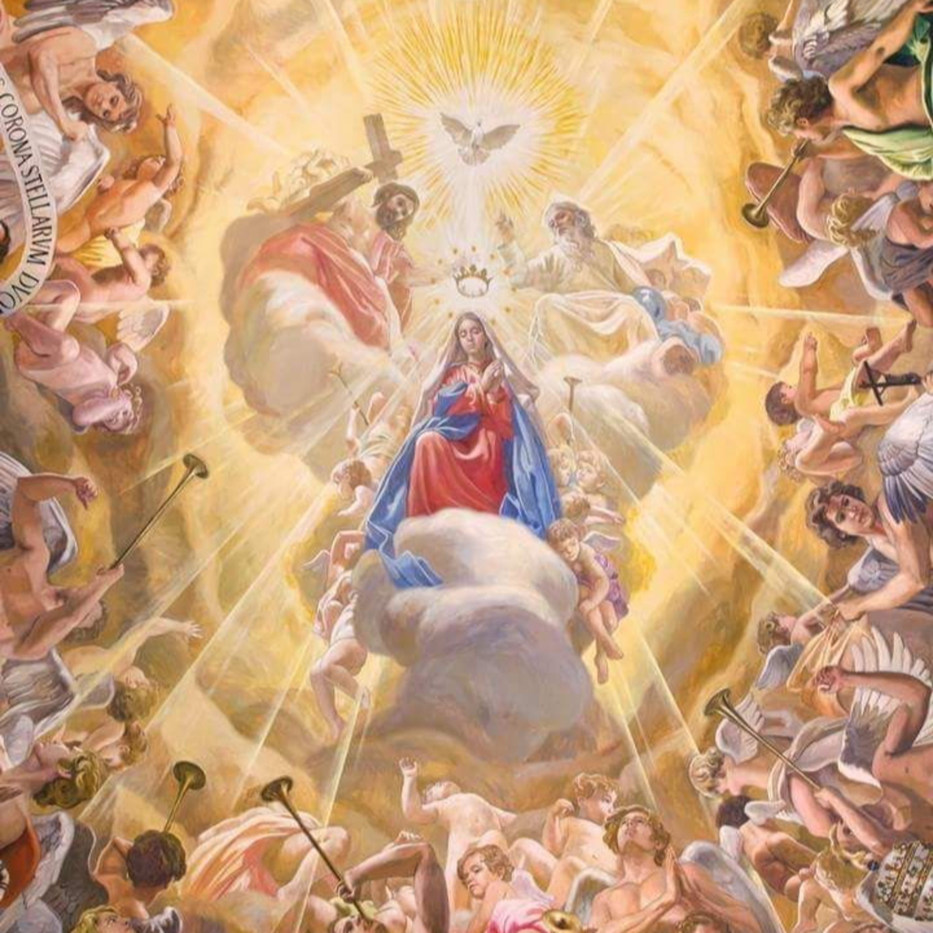 Homilia 22.08.23 - Nossa Senhora Rainha. episode artwork