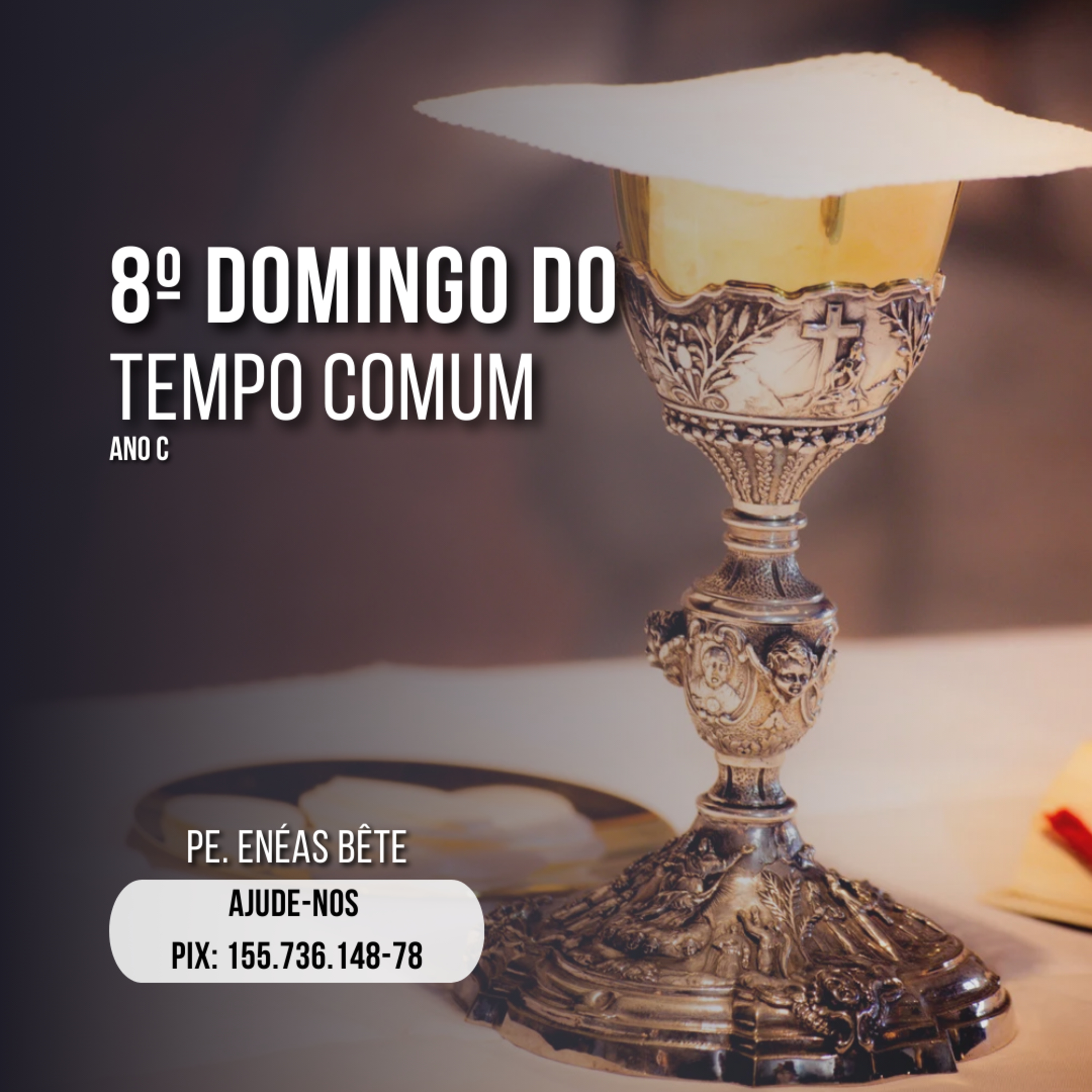 Homilia Dominical | Cegos seguindo cegos (8º Domingo do Tempo Comum). episode artwork