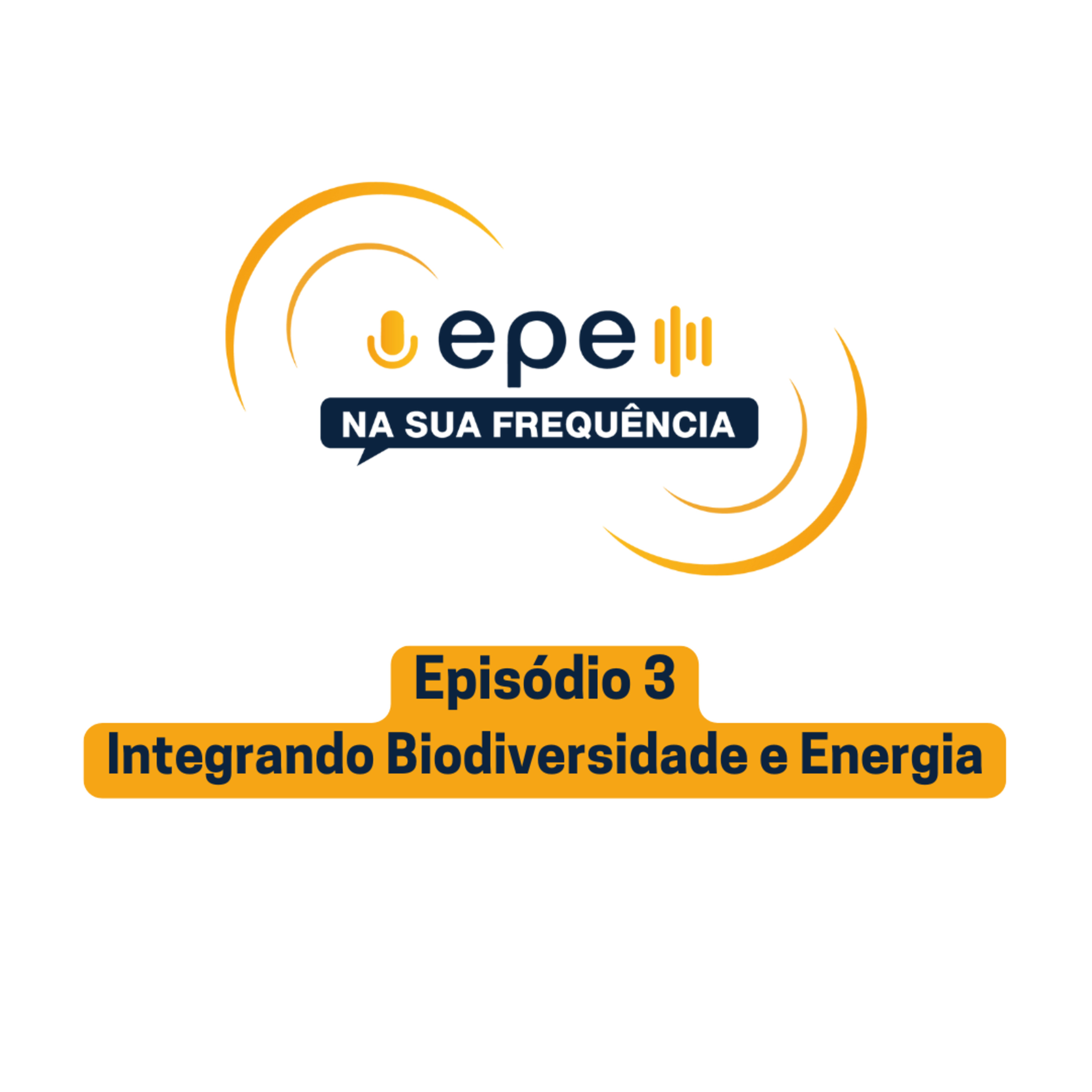 EPE na sua Frequência - #3 Integrando Biodiversidade e Energia episode artwork