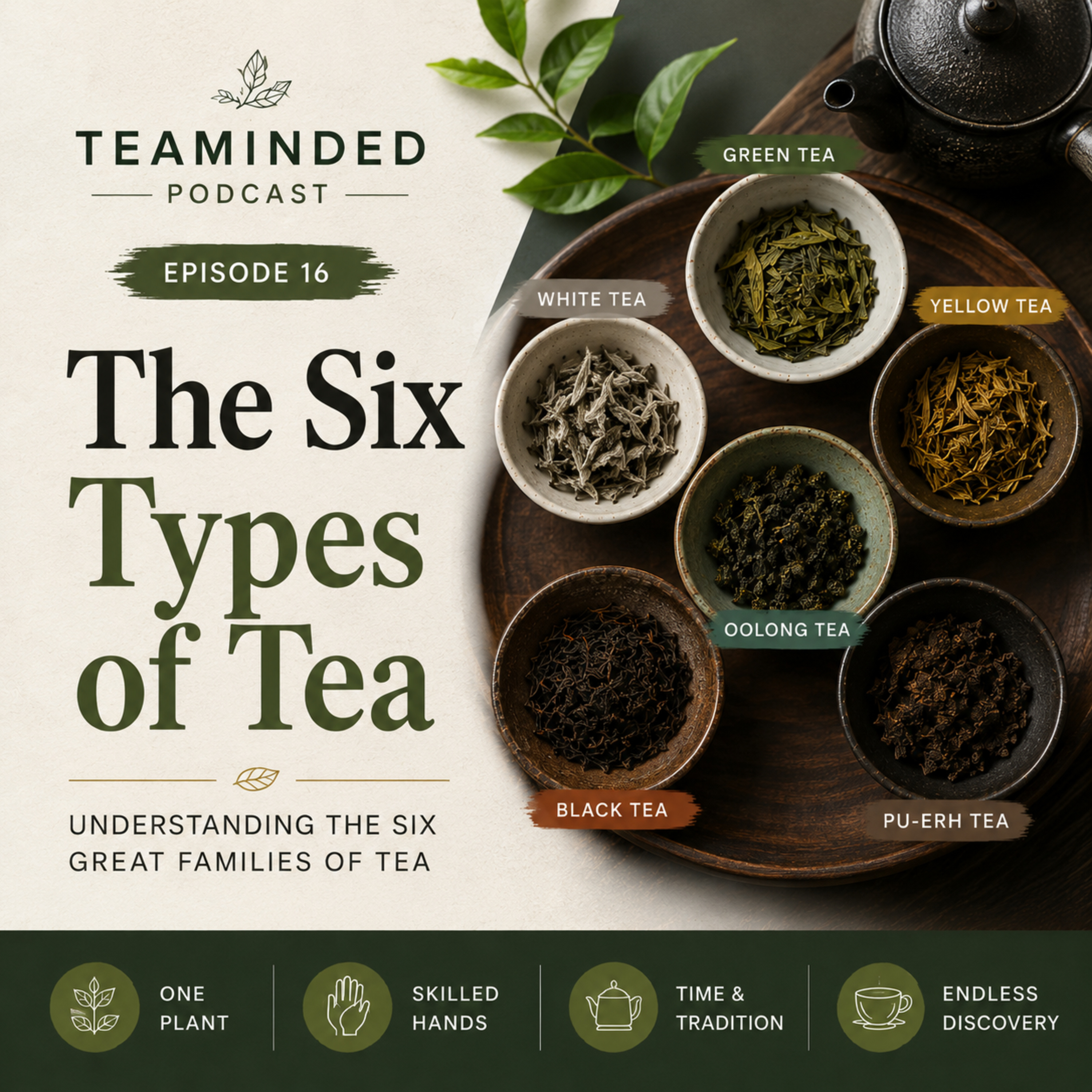 The Six Types of Tea Explained | Green, White, Yellow, Oolong, Black & Pu-erh Tea episode artwork