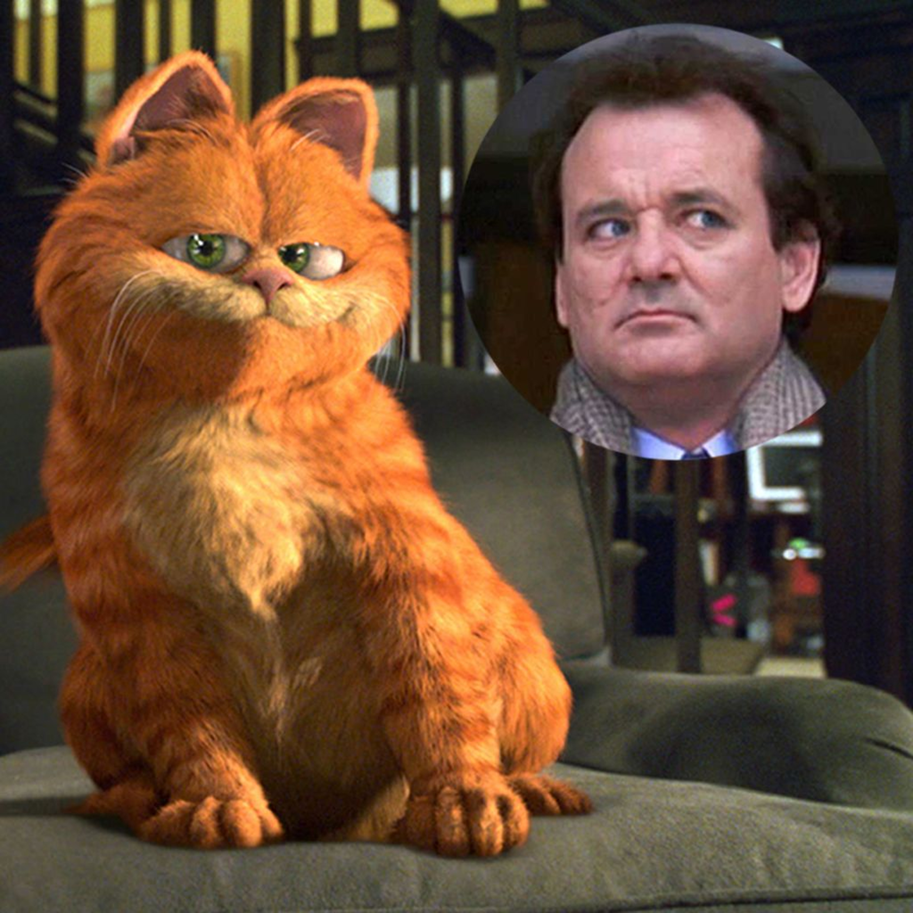 Porque fez Bill Murray a voz de Garfield (2004)? episode artwork
