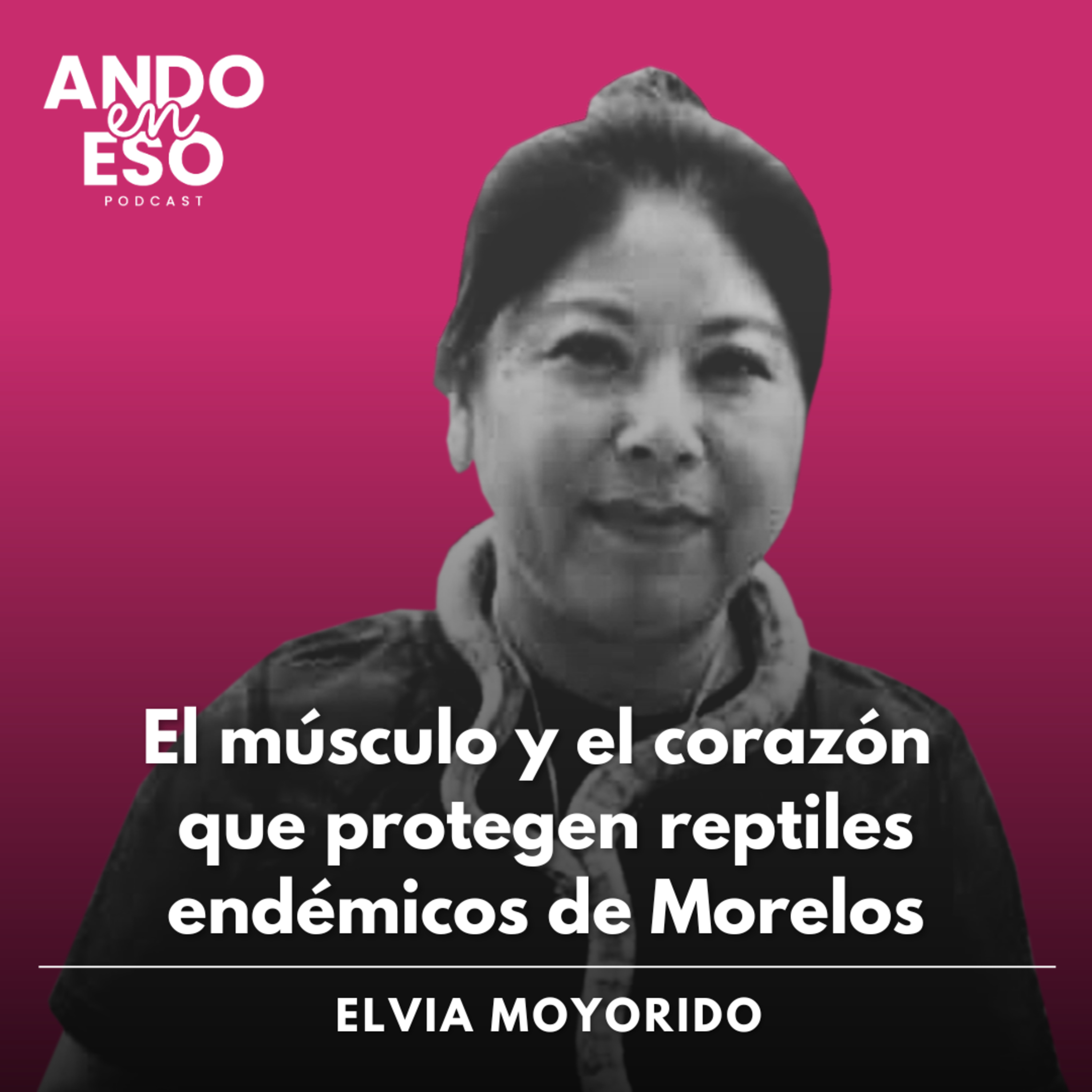 Portada de Ando en eso