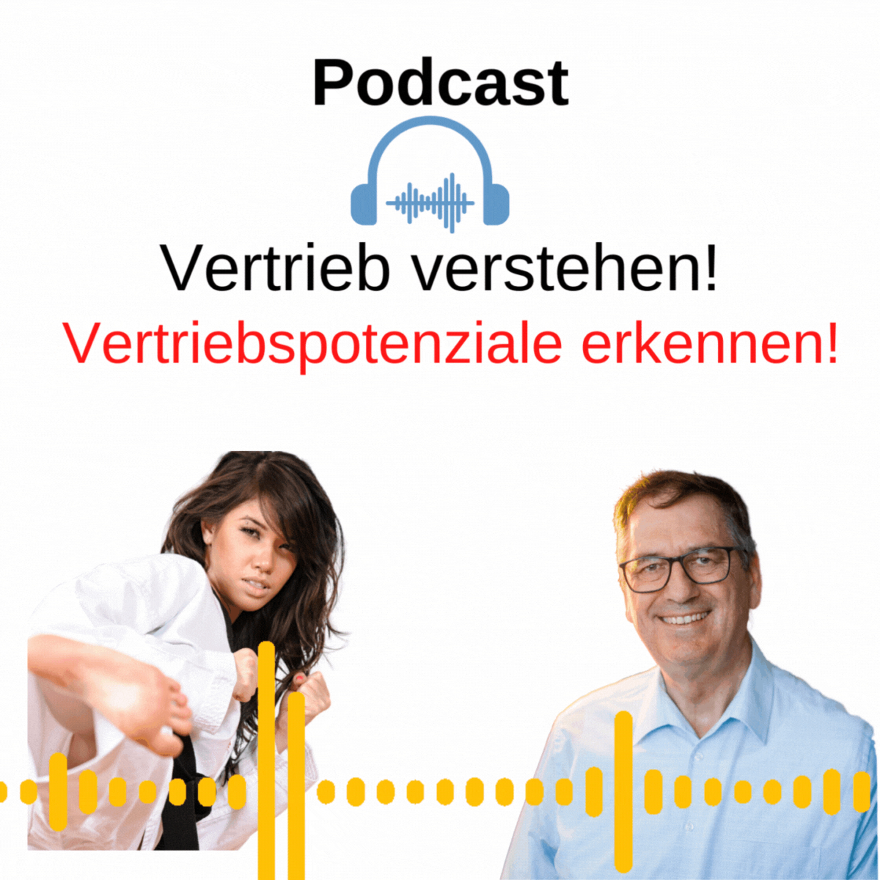 Podcast - Vertrieb verstehen!
