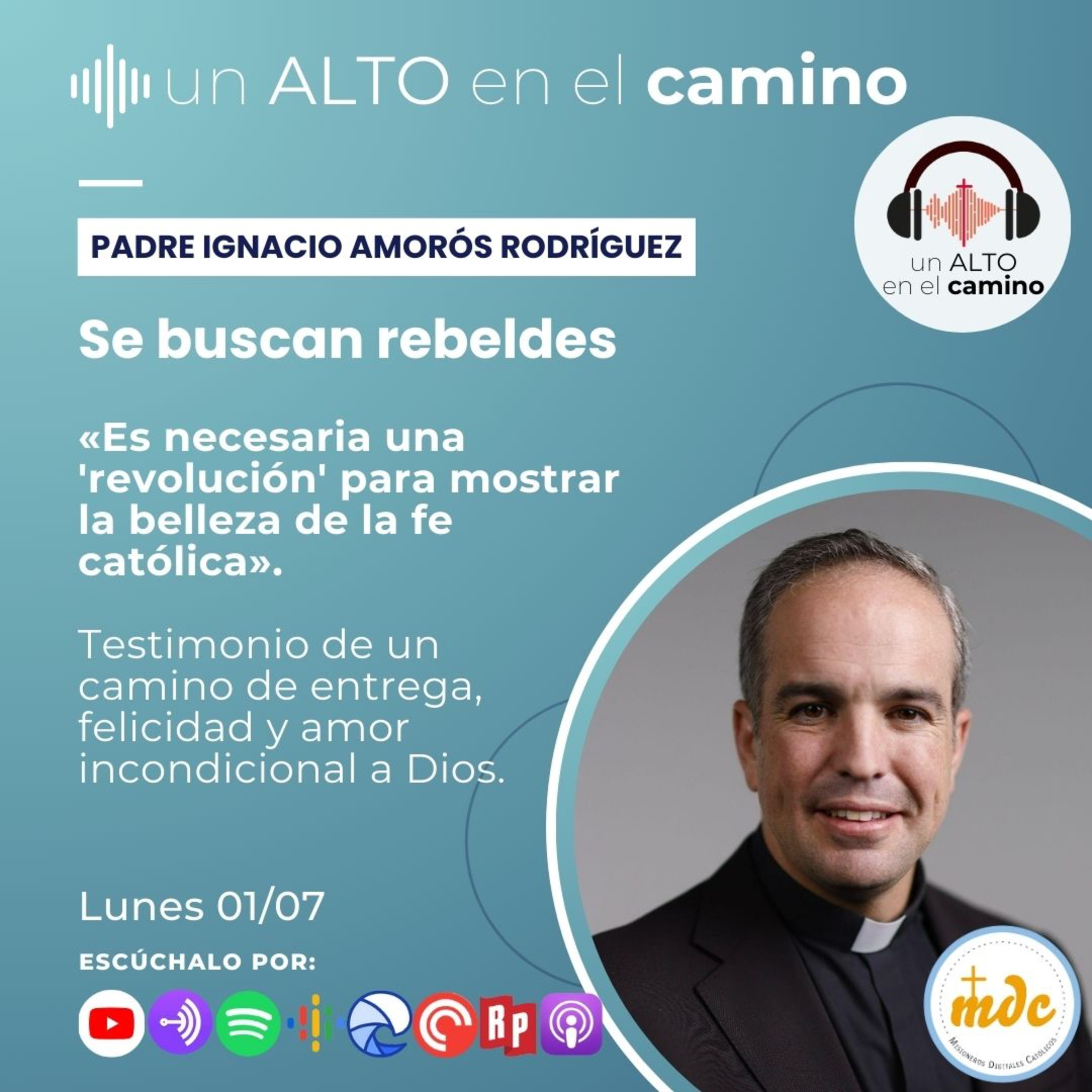 Se buscan rebeldes - Ignacio Amorós Rodríguez