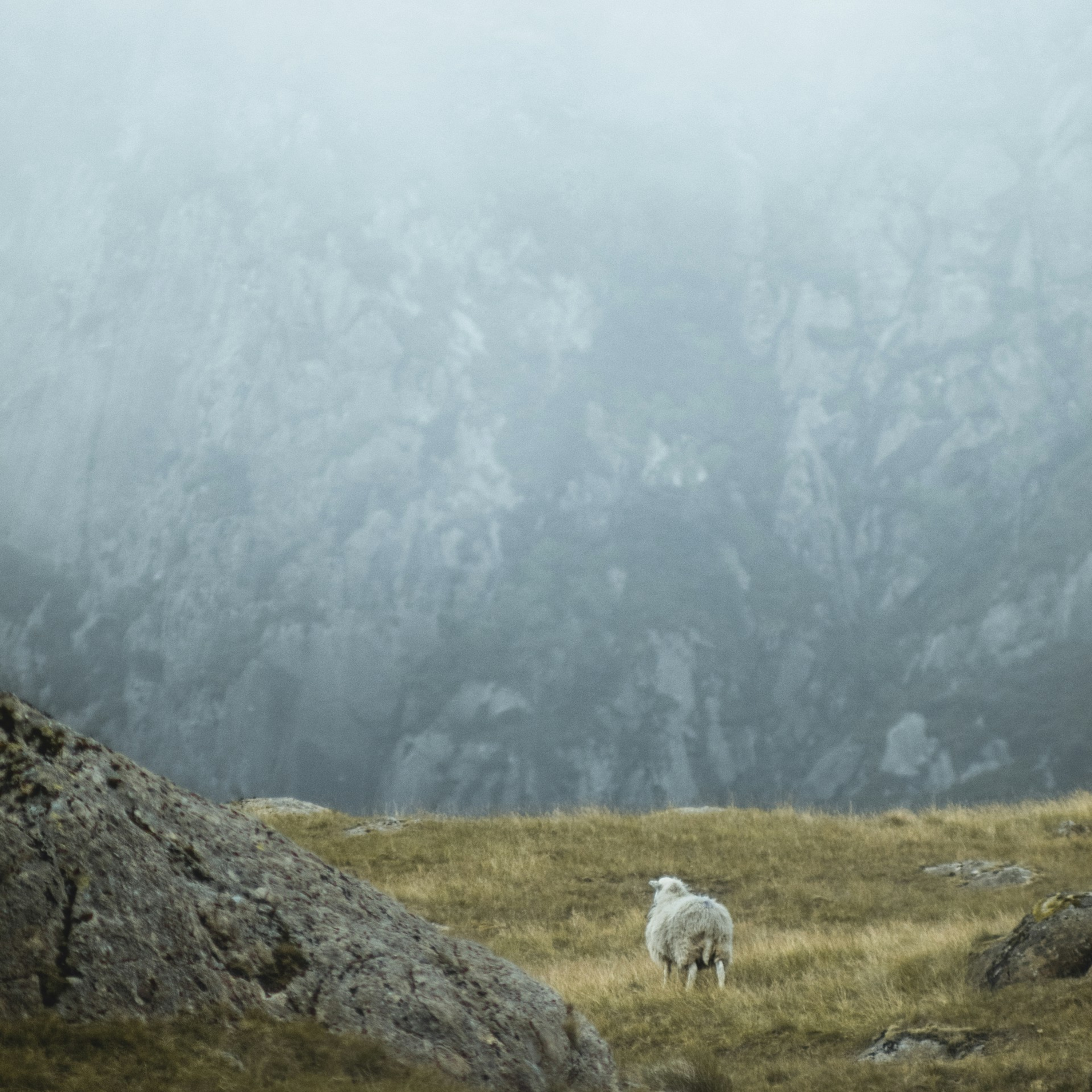 The Lamb’s finale — John 19:28–30 episode artwork