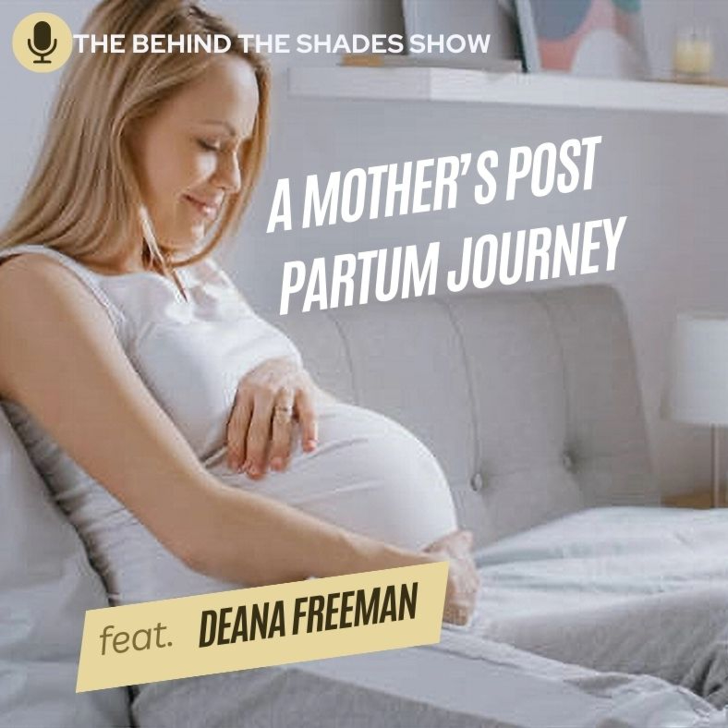 Deana Freeman Interview | Full Interview | A Mother's Post Partum Journey episode artwork