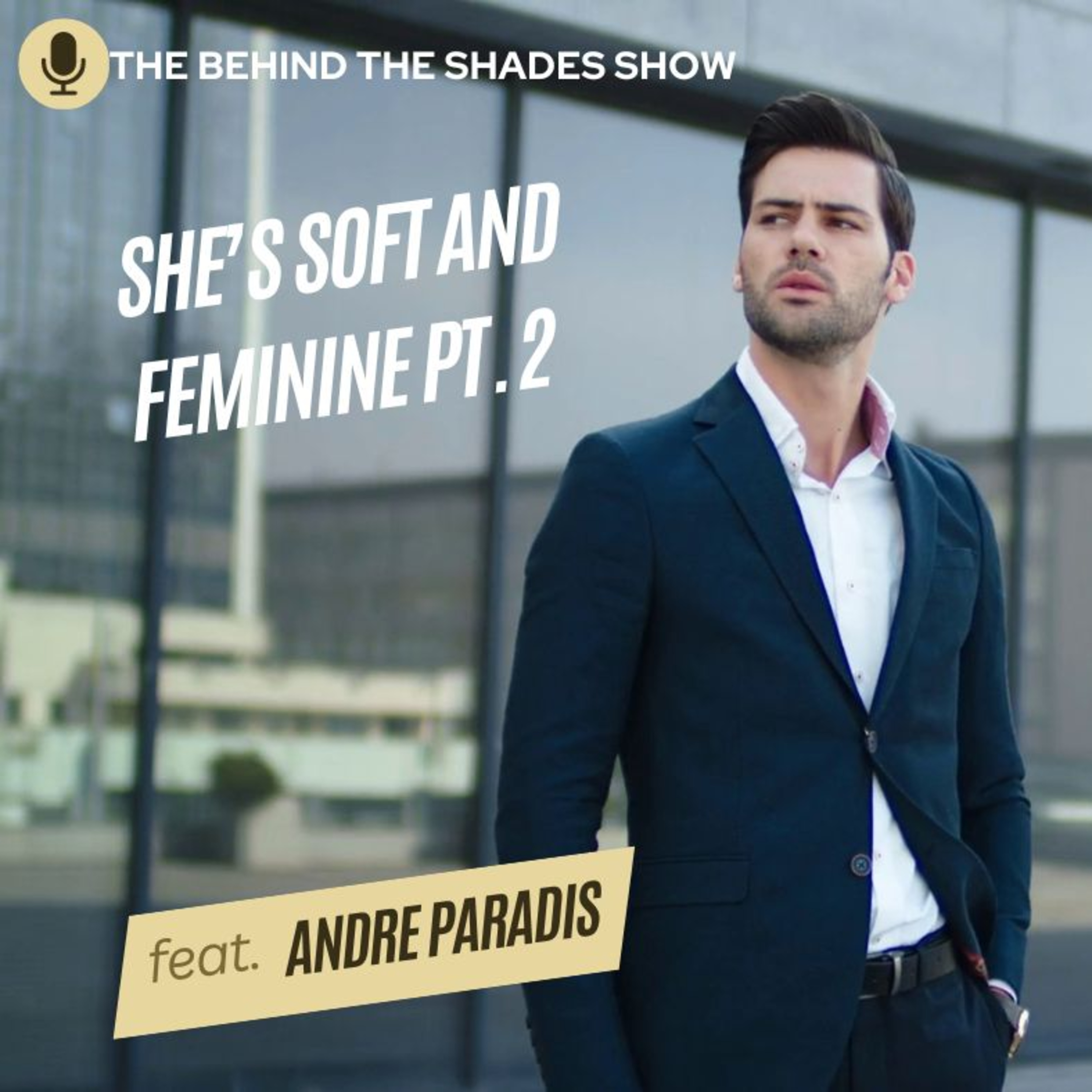 Successful Men Date Soft And Feminine Women | Andre Paradis Interview | Part 02 | episode artwork