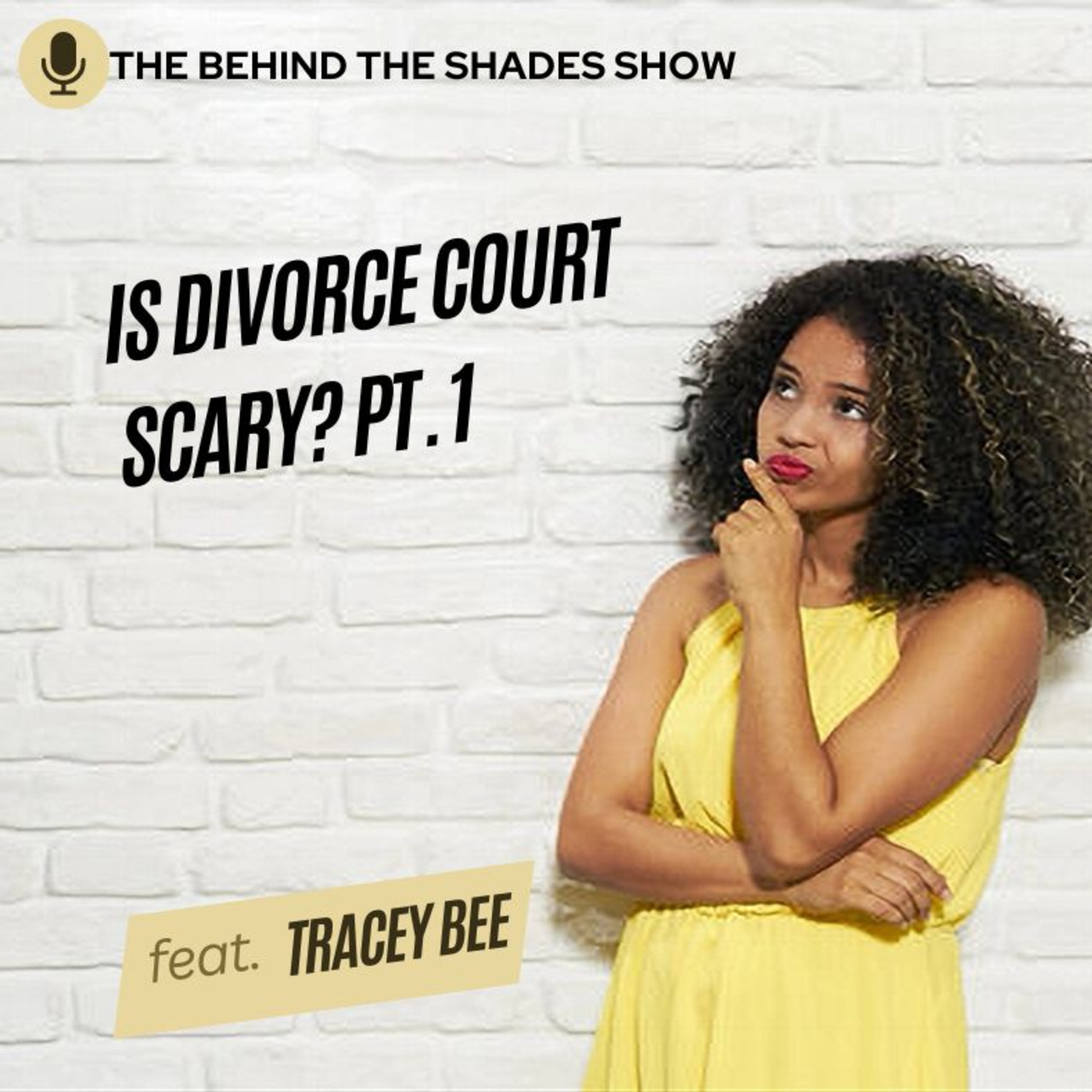 How To Protect Yourself In Family Court | Tracey Bee Interview | Part 01 | episode artwork