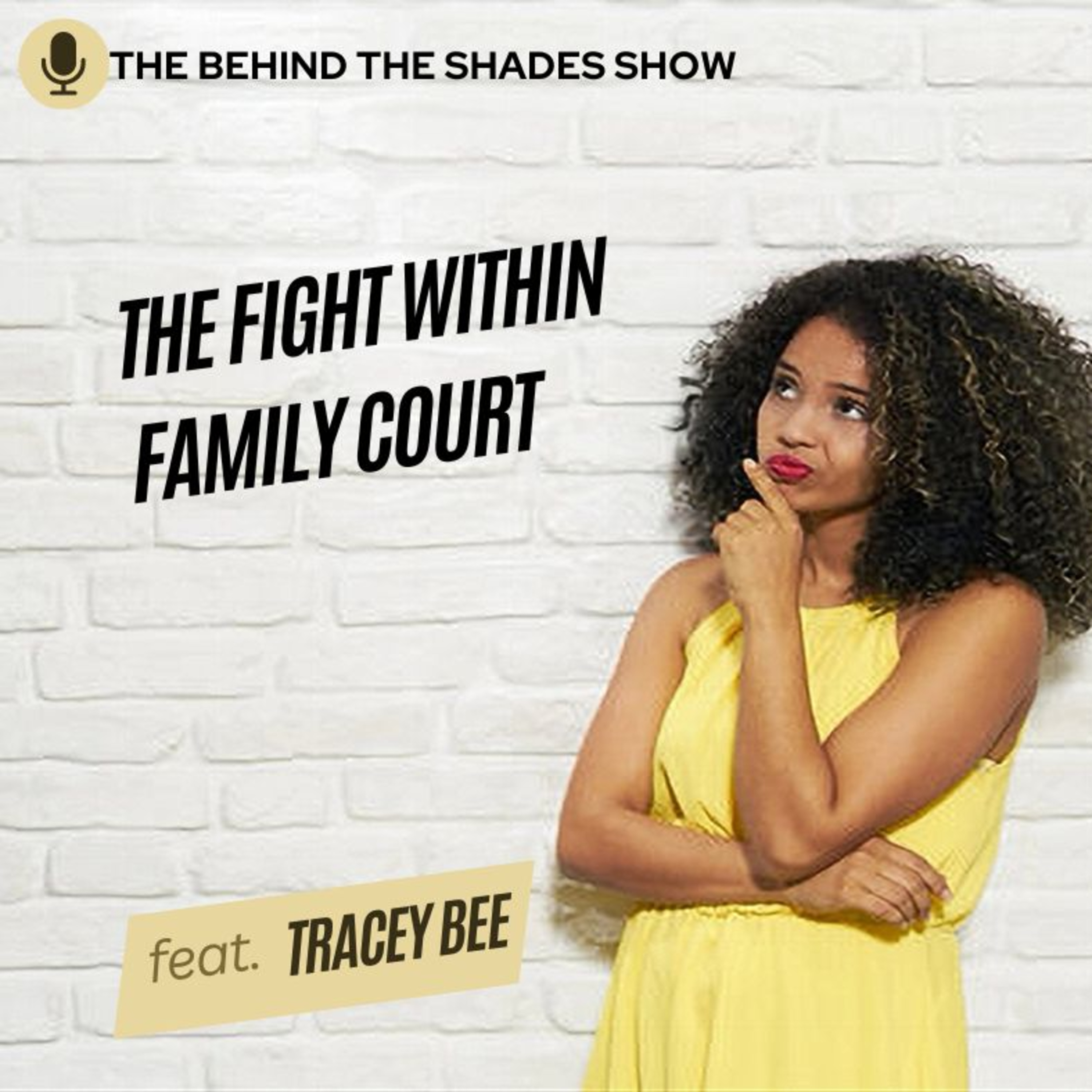 How To Fight For Custody: The Battle Of Divorce And Family Court | Tracey Bee Full Interview | episode artwork