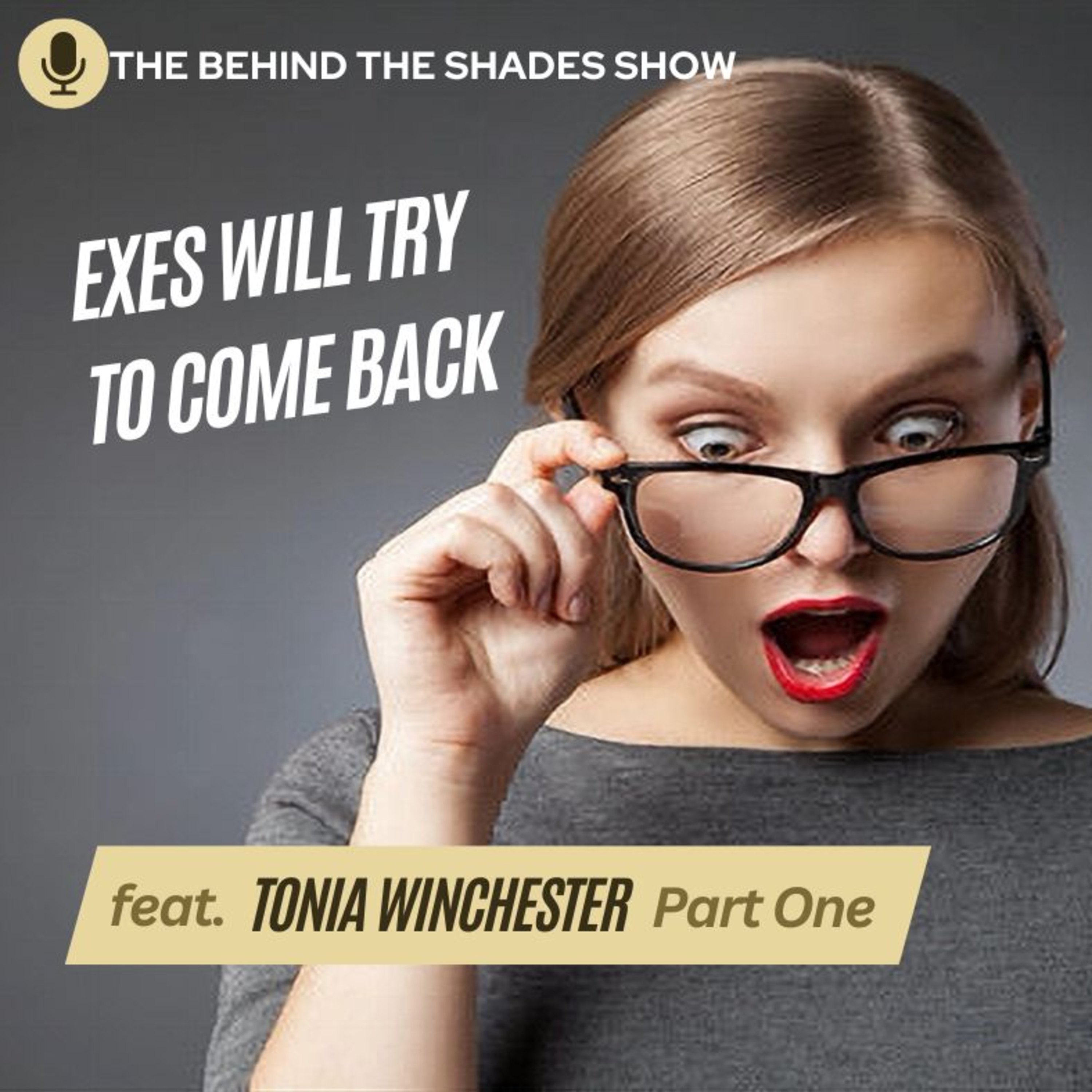 Should I Let My Ex Back Into My Life? episode artwork