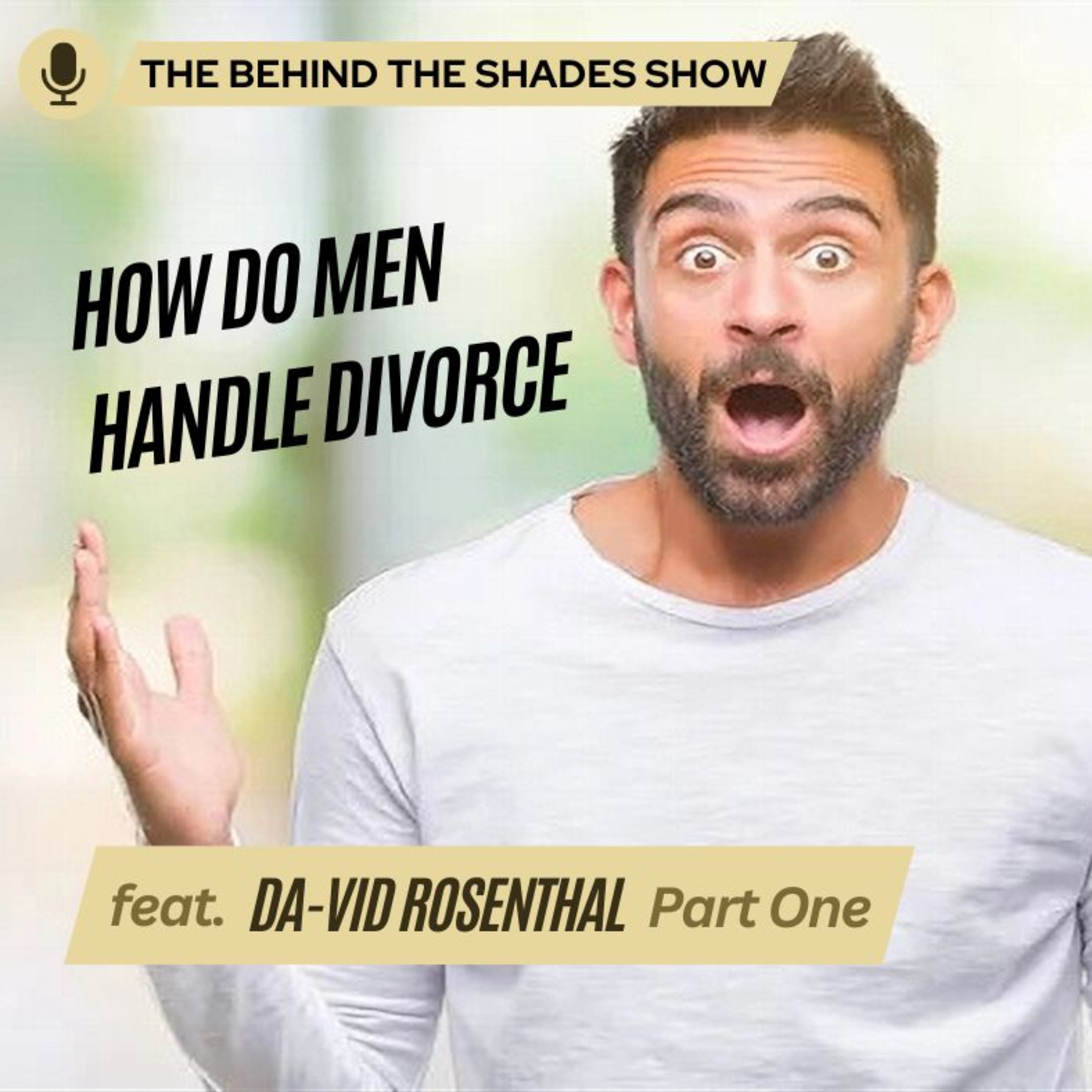 How To Deal With Your Emotions During Your Divorce | Behind The Shades Show episode artwork