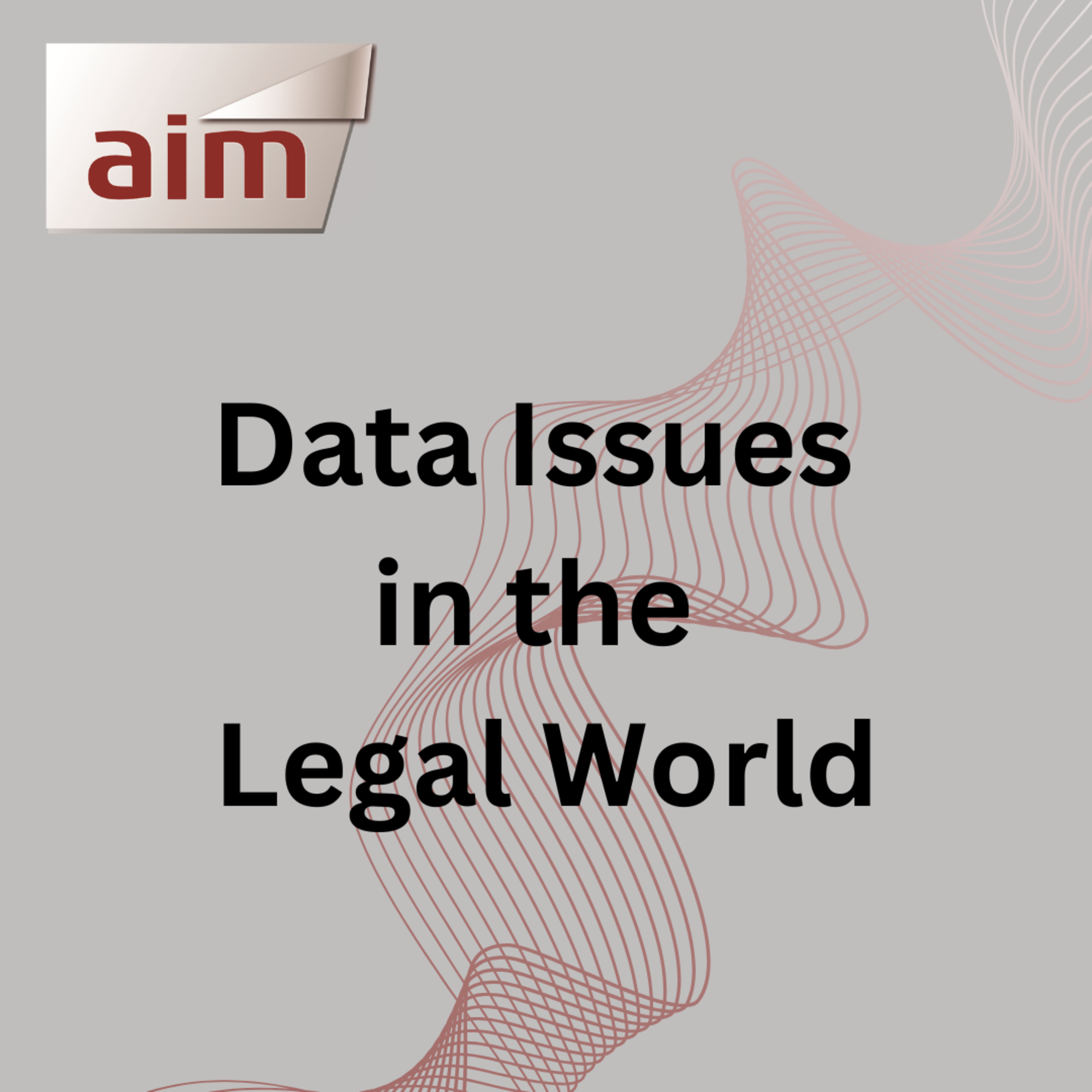 Data Issues in the Legal World episode artwork