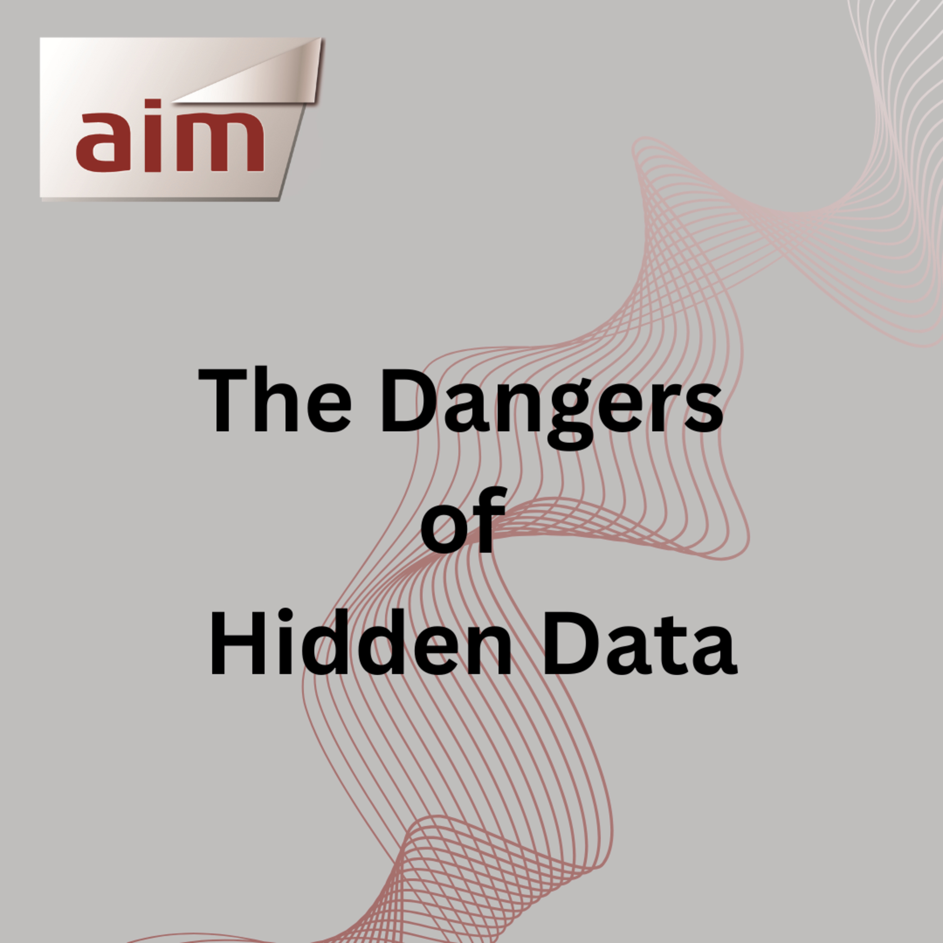 The Dangers of Hidden Data episode artwork