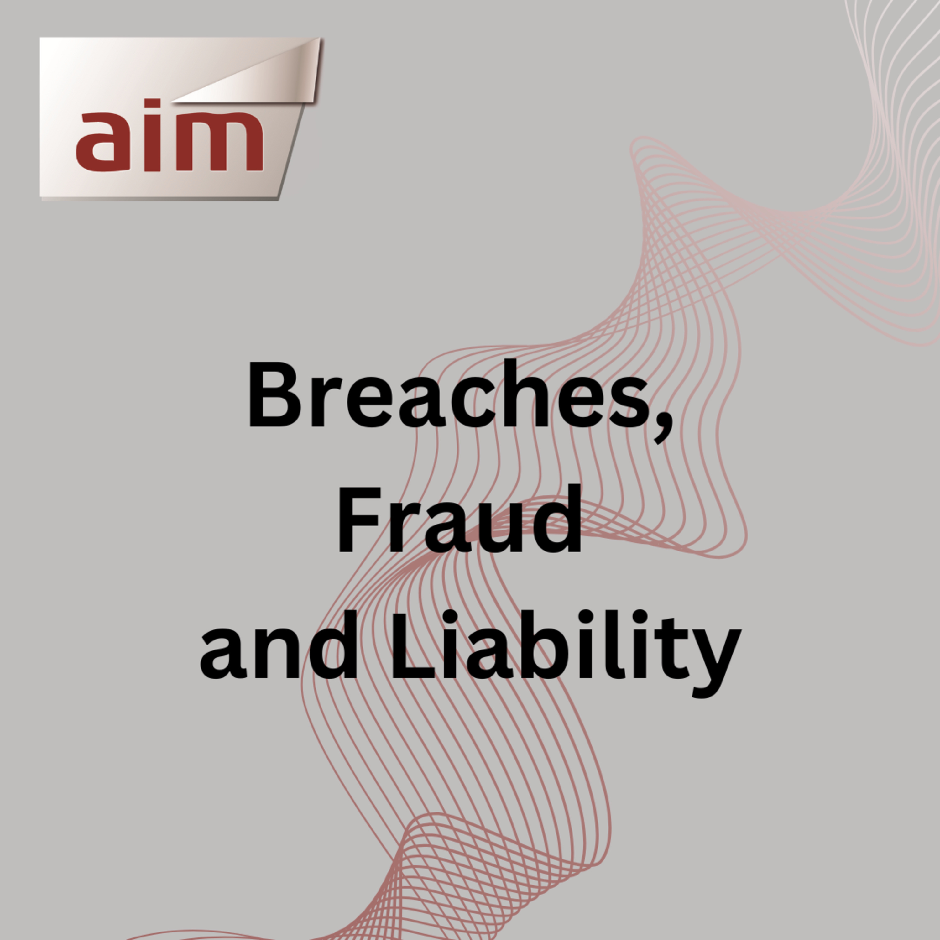 Breaches, Fraud and Liability episode artwork