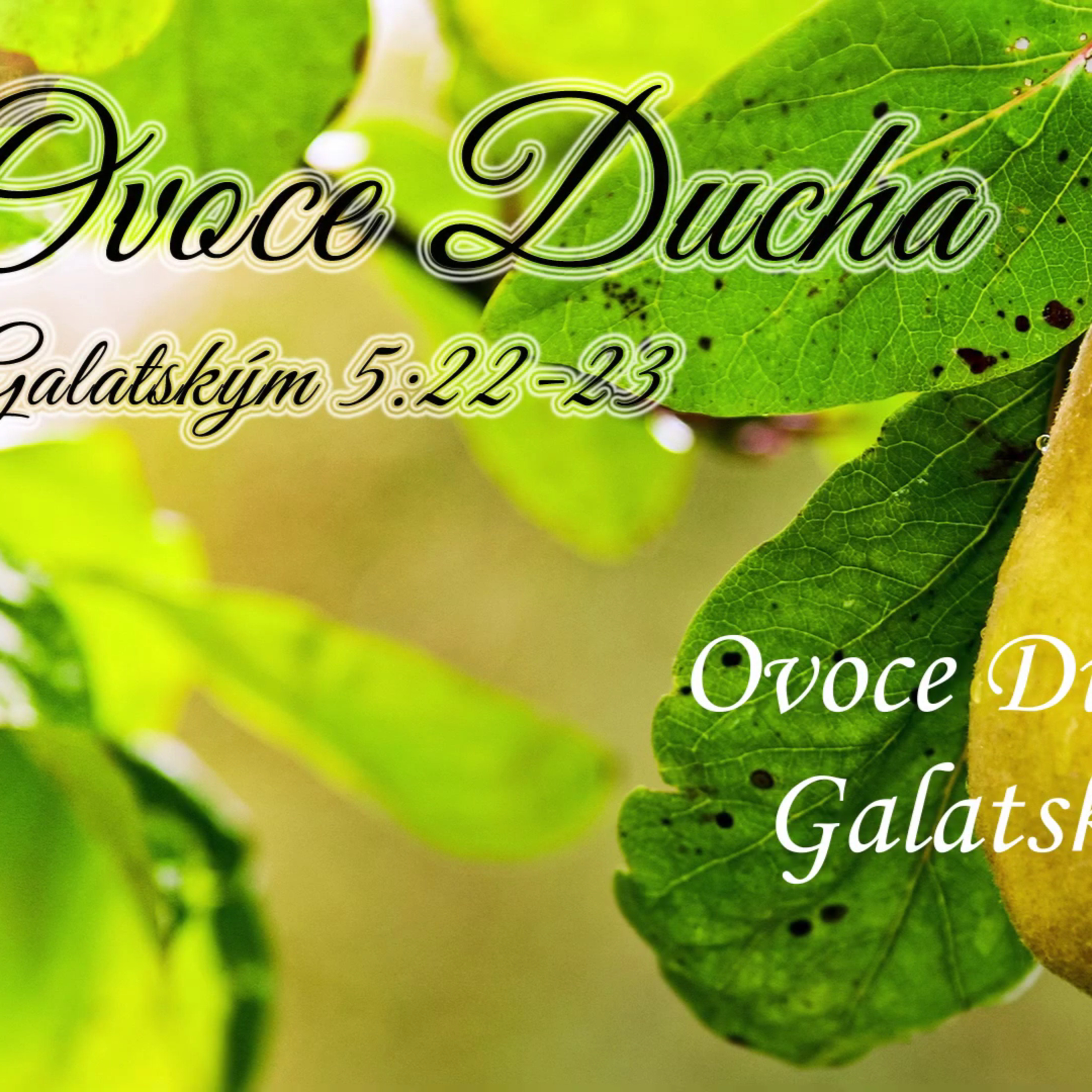 Křesťané Lovosice