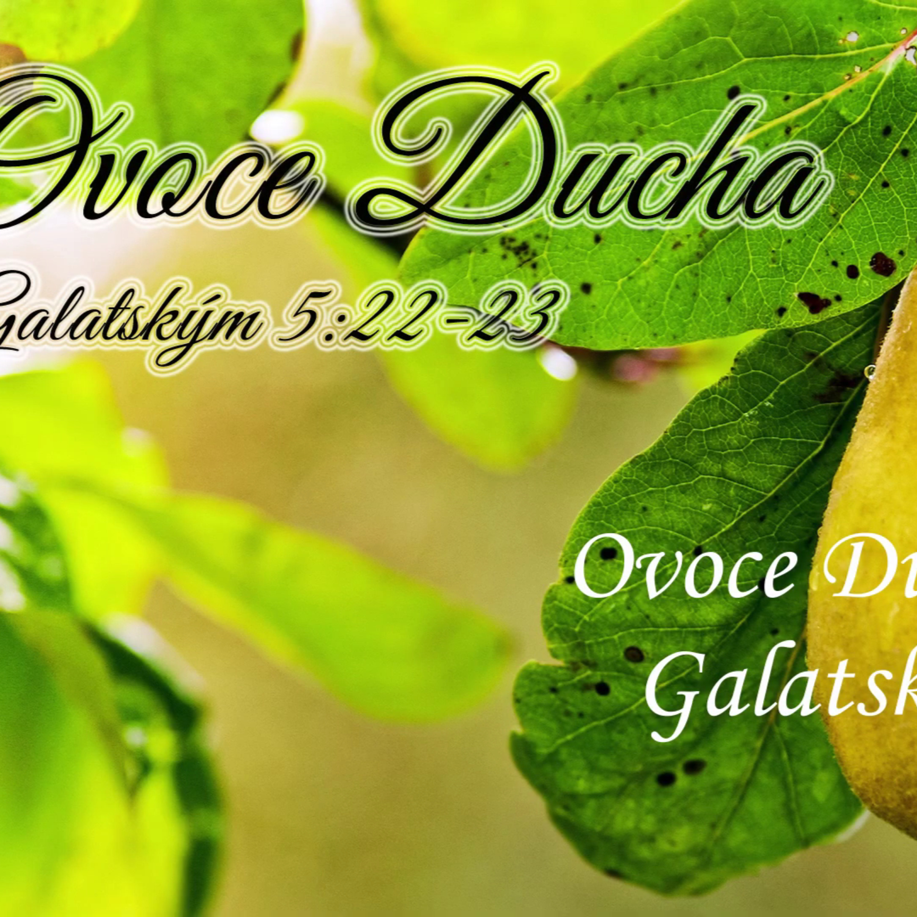 Křesťané Lovosice