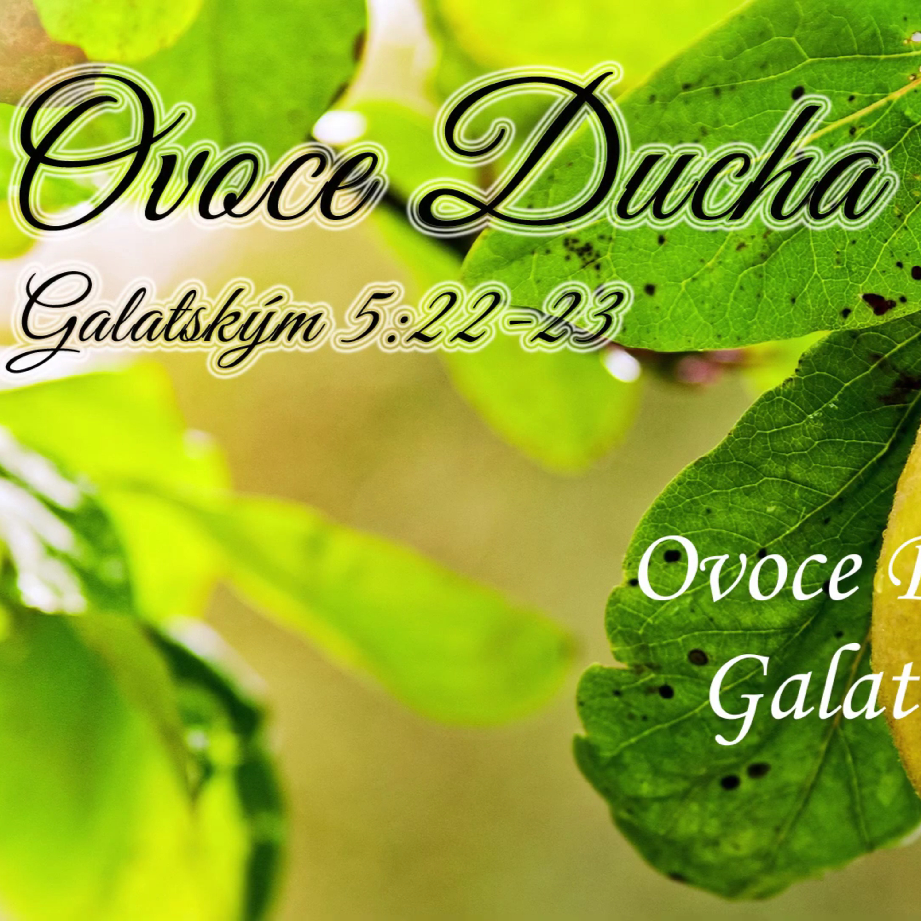 Křesťané Lovosice