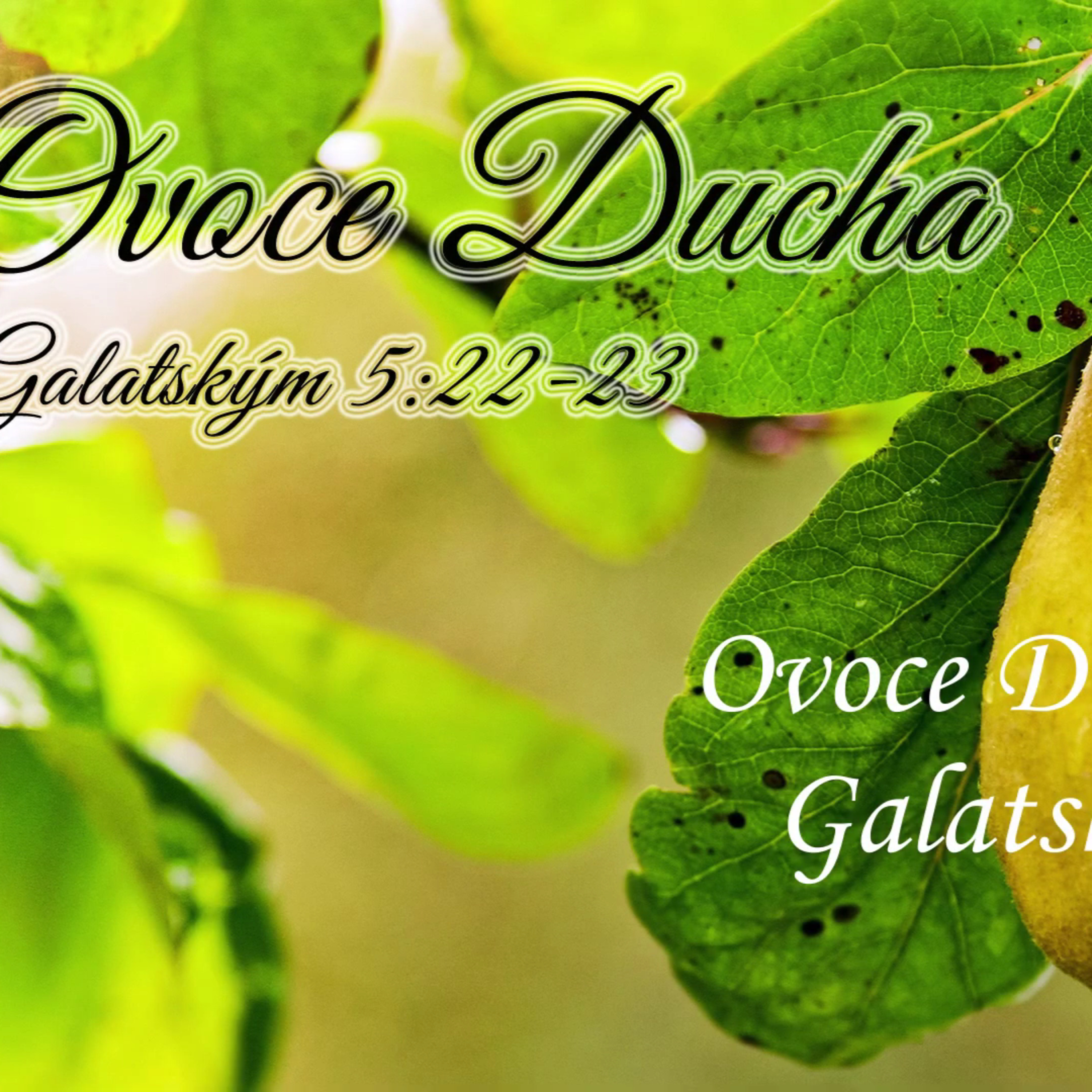 Křesťané Lovosice