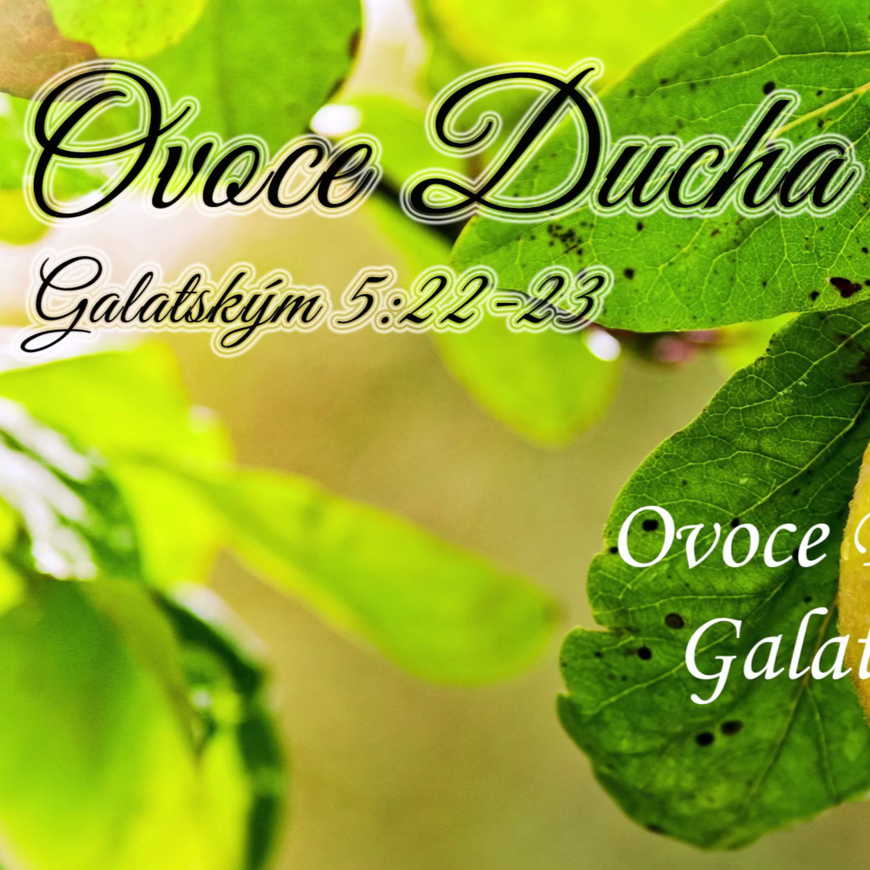 Křesťané Lovosice