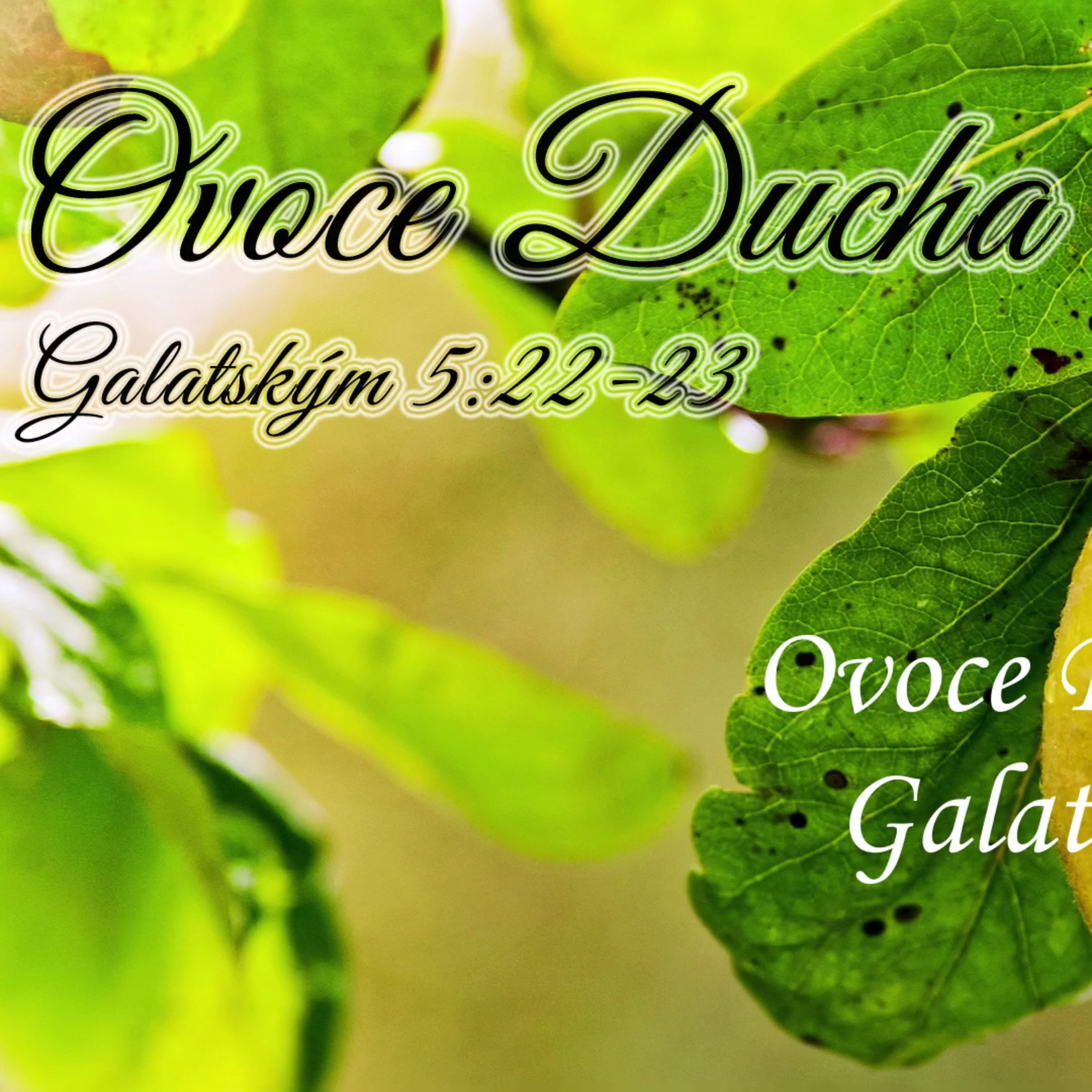 Křesťané Lovosice