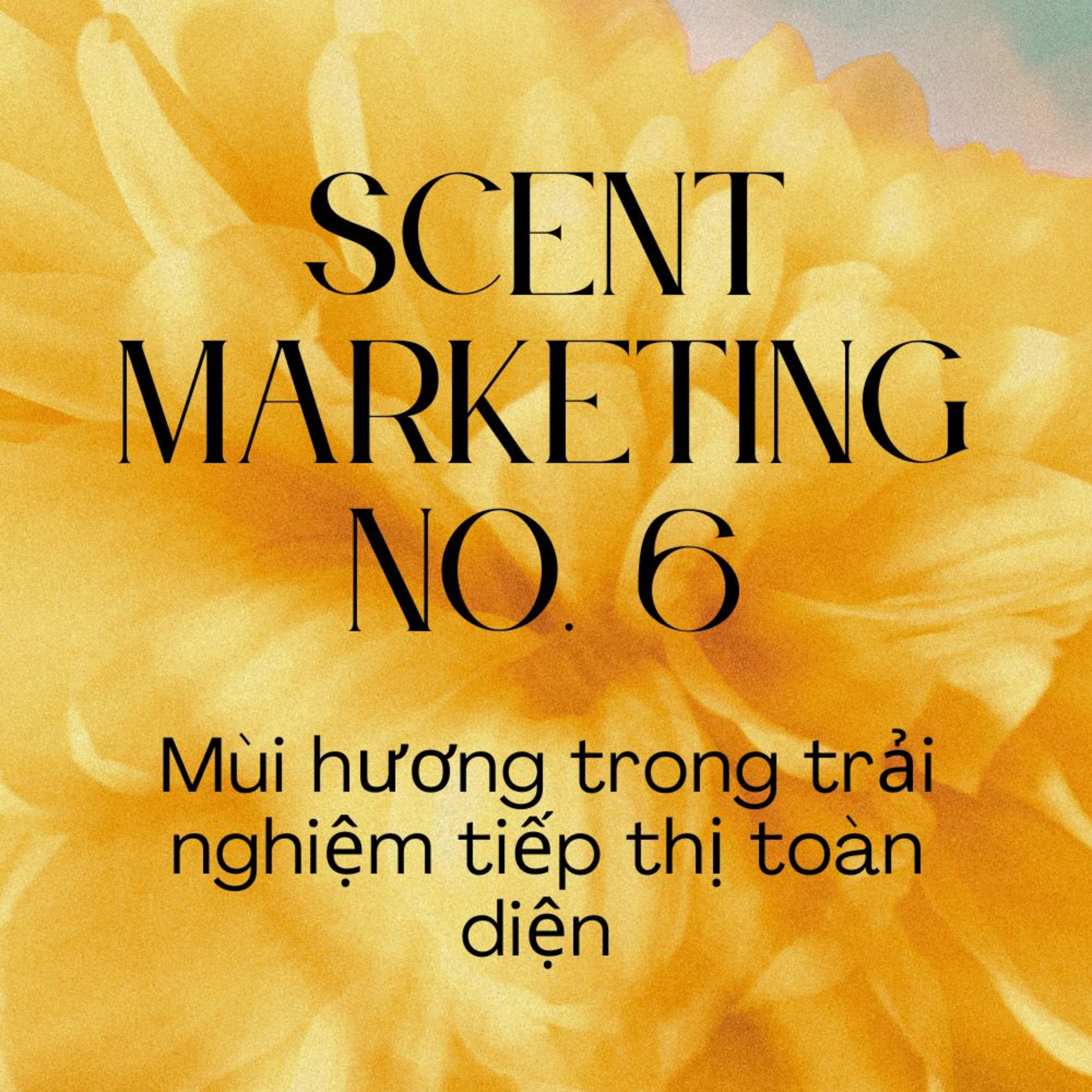 Tiếp thị mùi hương #6: Mùi hương trong trải nghiệm tiếp thị toàn diện