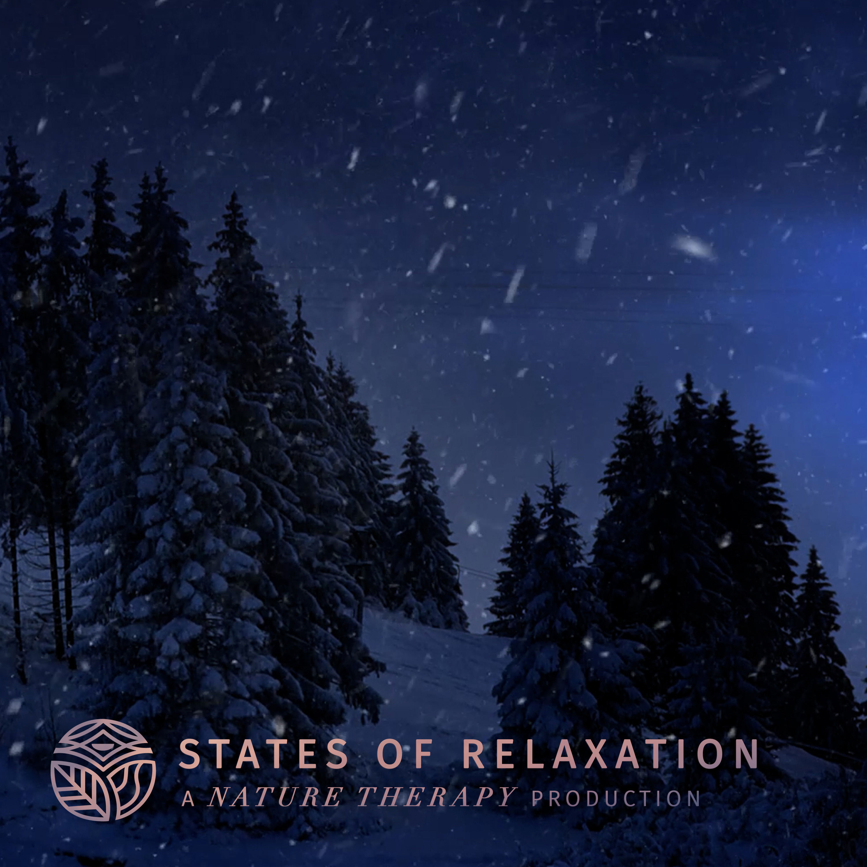 S2 E8: Mountain Blizzard Snowstorm to Fall Asleep FAST | Howling Wind Sounds in the Mountains: White Noise episode artwork