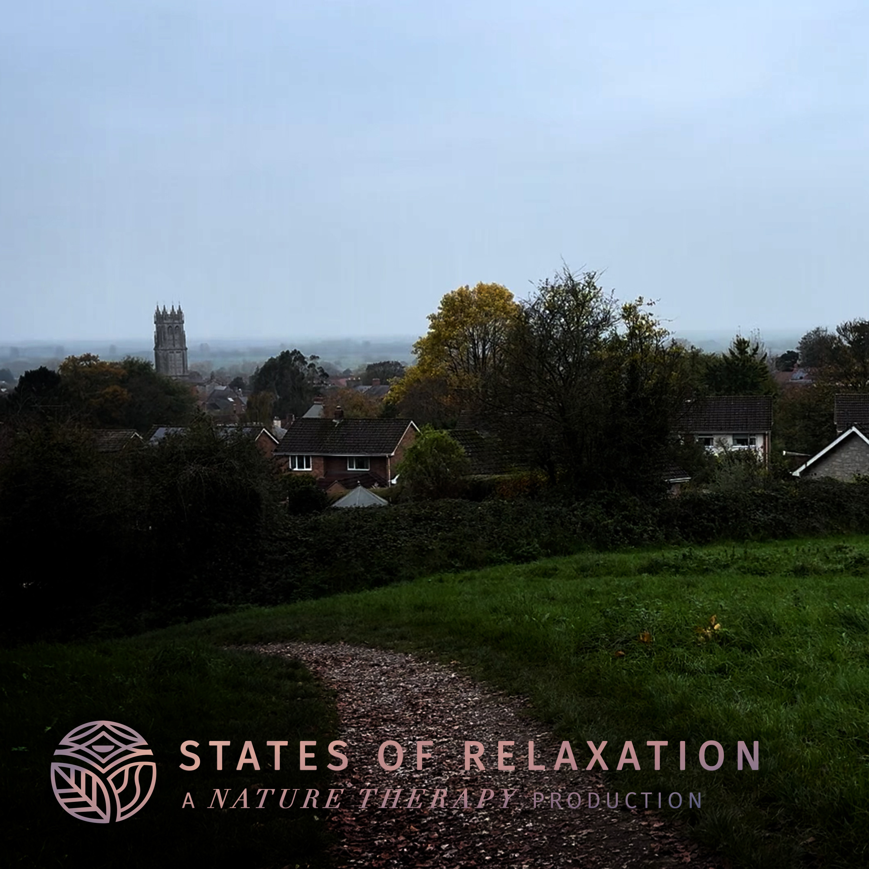 S2 E11: Relaxing Gentle Rain in Glastonbury, UK | Natural White Noise episode artwork