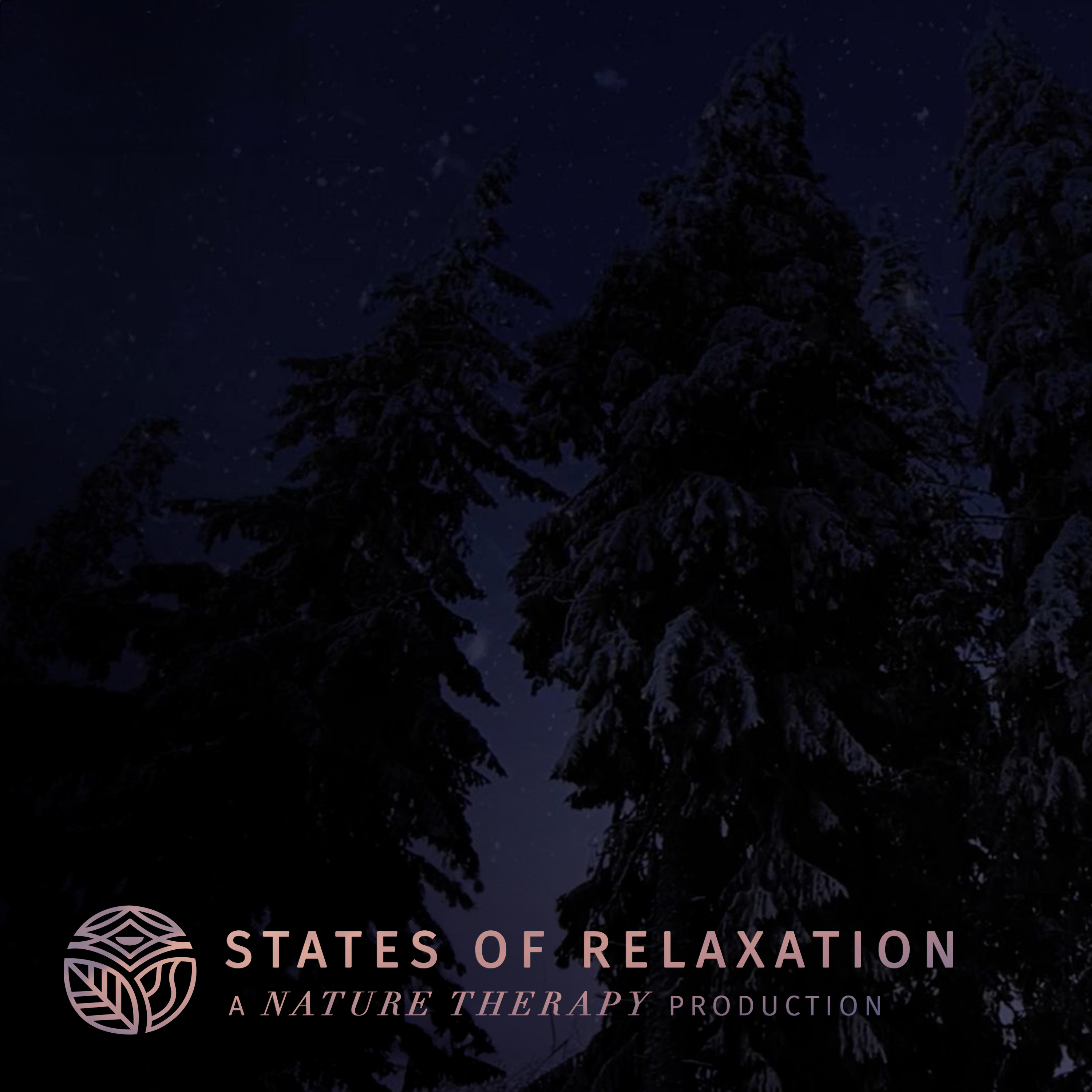 S2 E14: Winter Mountain Winds to Fall Asleep FAST | Howling Wind Sounds in the Mountains: White Noise episode artwork