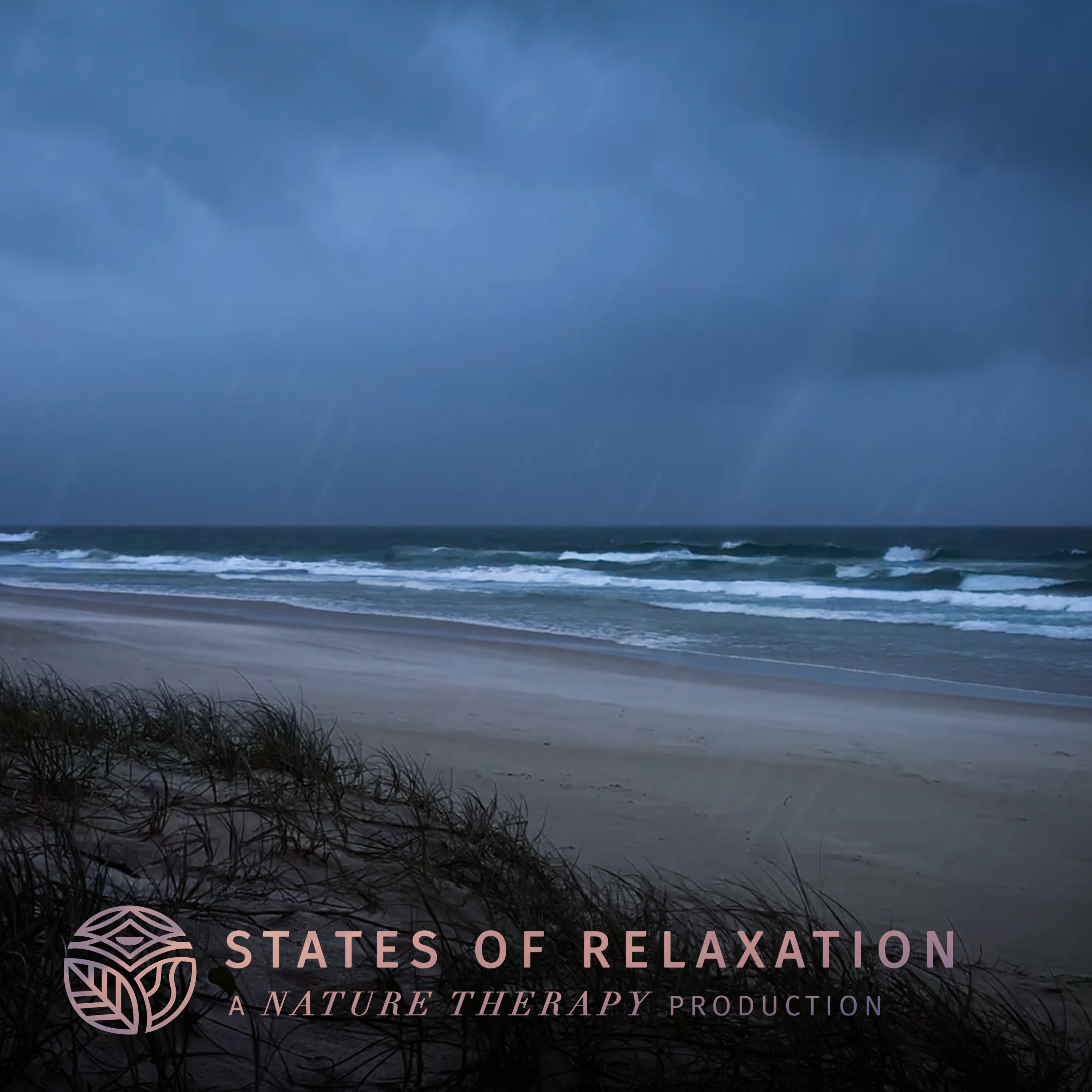 S2 E15: Windy Ocean Waves and Rain Sounds For Sleeping episode artwork